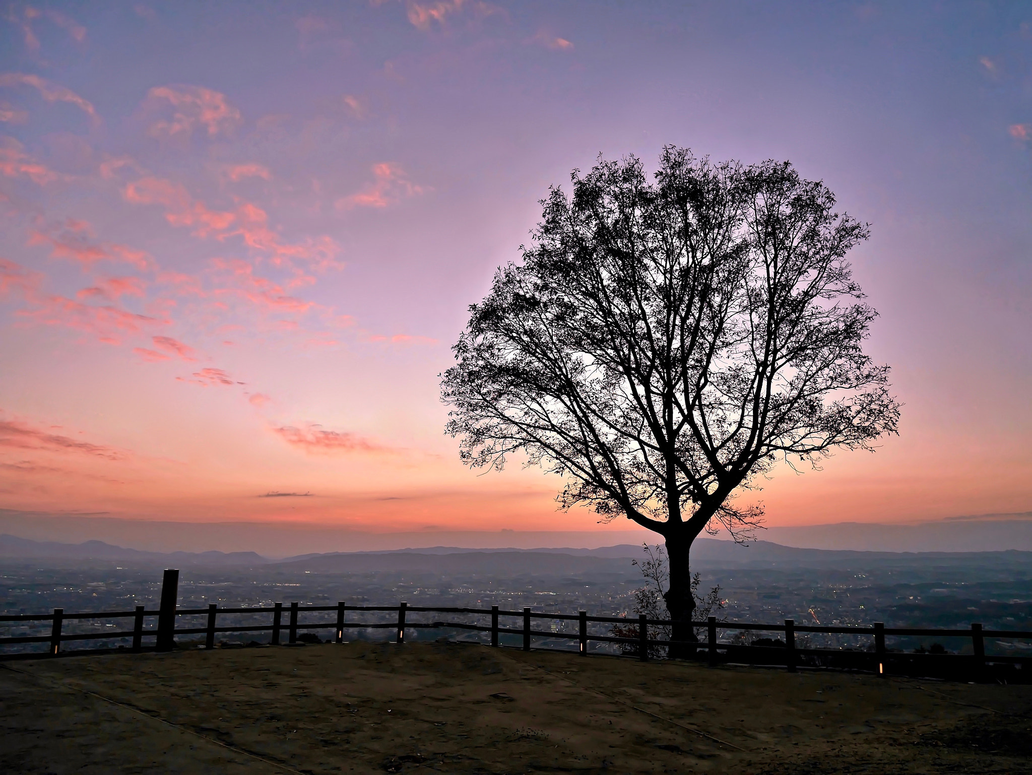 Panasonic Lumix DMC-GM1 sample photo. Glowing sunset over the ancient city of nara photography