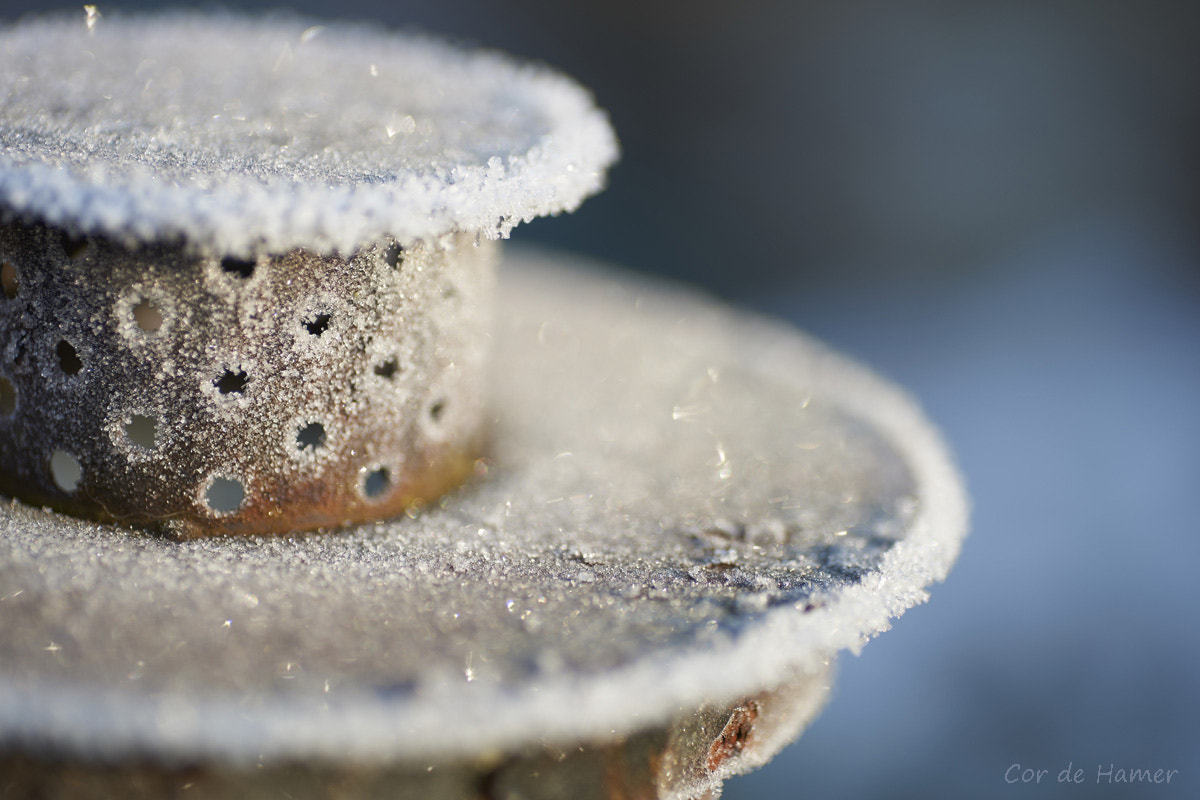 Sony a99 II + Tamron SP AF 90mm F2.8 Di Macro sample photo. Frosty photography