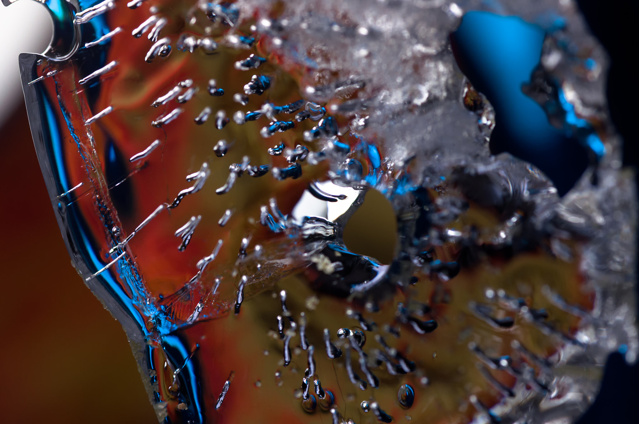Sigma 105mm F2.8 EX DG Macro sample photo. Locked in time photography