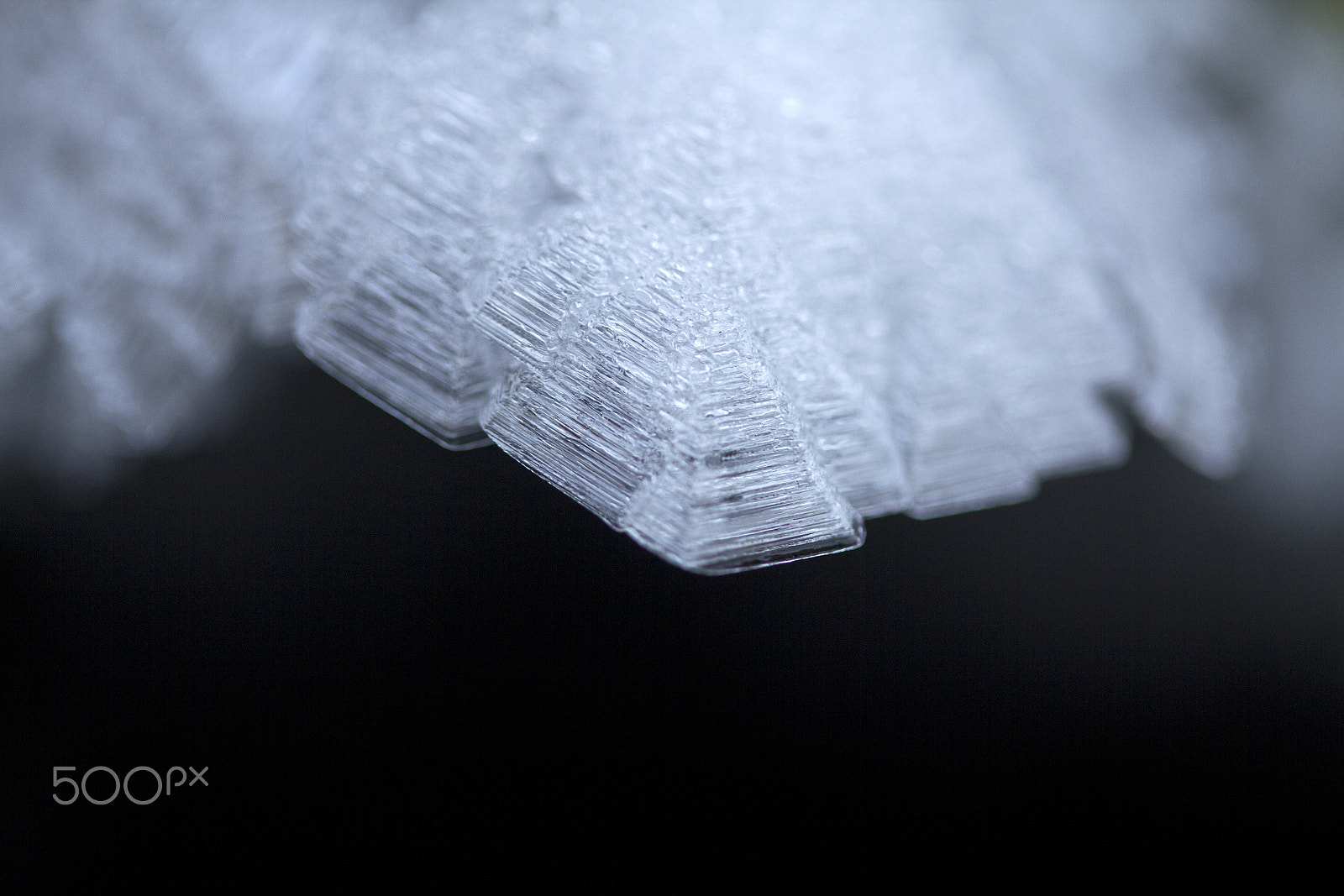 Canon EF-S 60mm F2.8 Macro USM sample photo. Frost photography