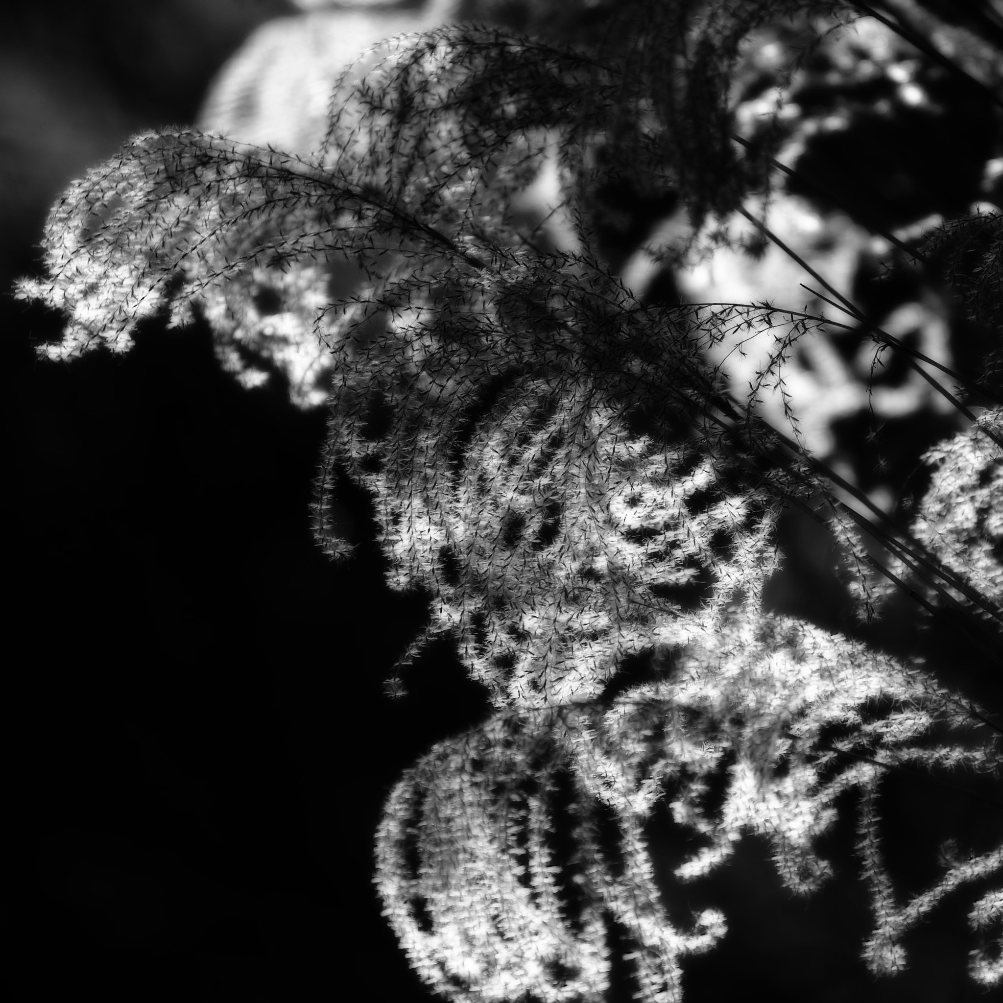 Nikon D3 sample photo. Wintercolors photography