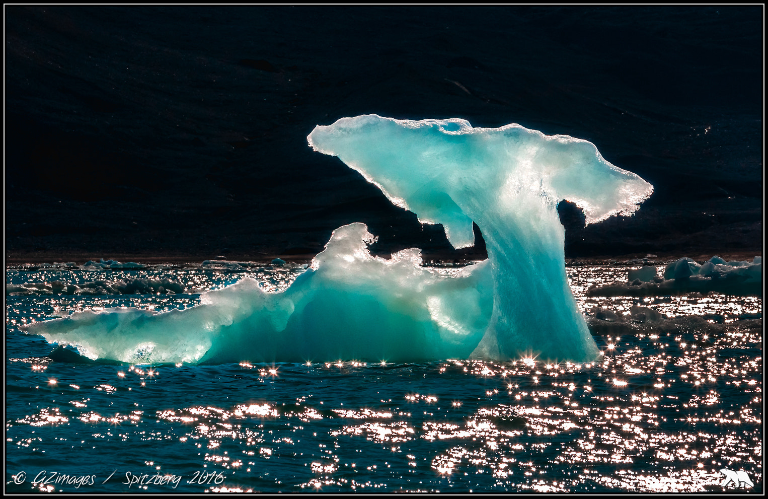 Canon EF 70-300mm F4-5.6L IS USM sample photo. Ice mushroom photography