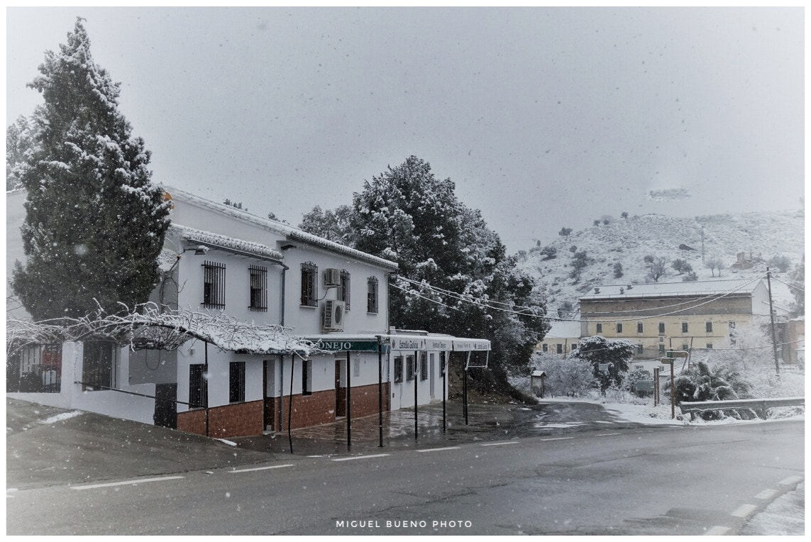 Sony 28-100mm F1.8-4.9 sample photo. Durante la nevada photography