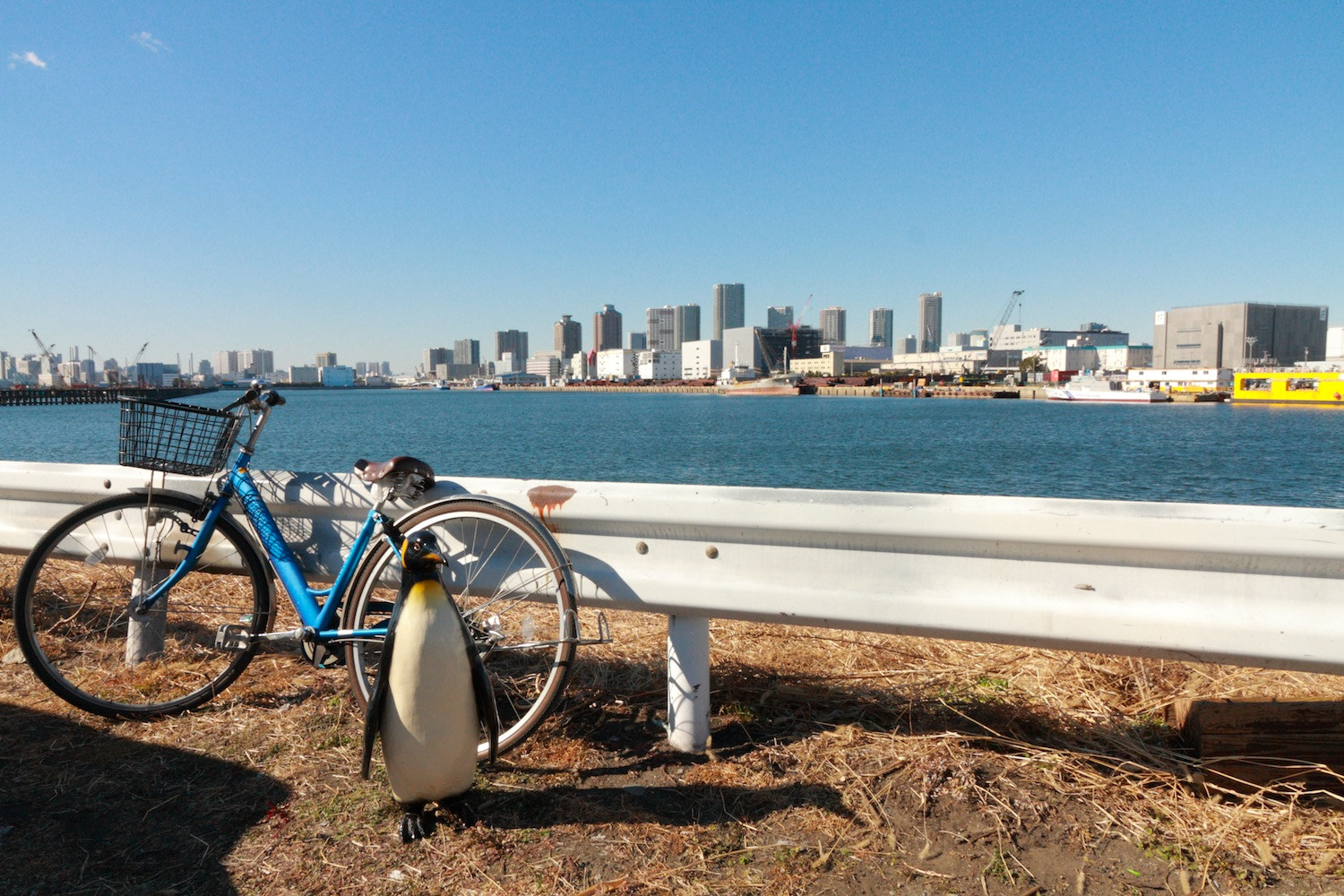 Canon EOS 40D sample photo. The best rest spot photography