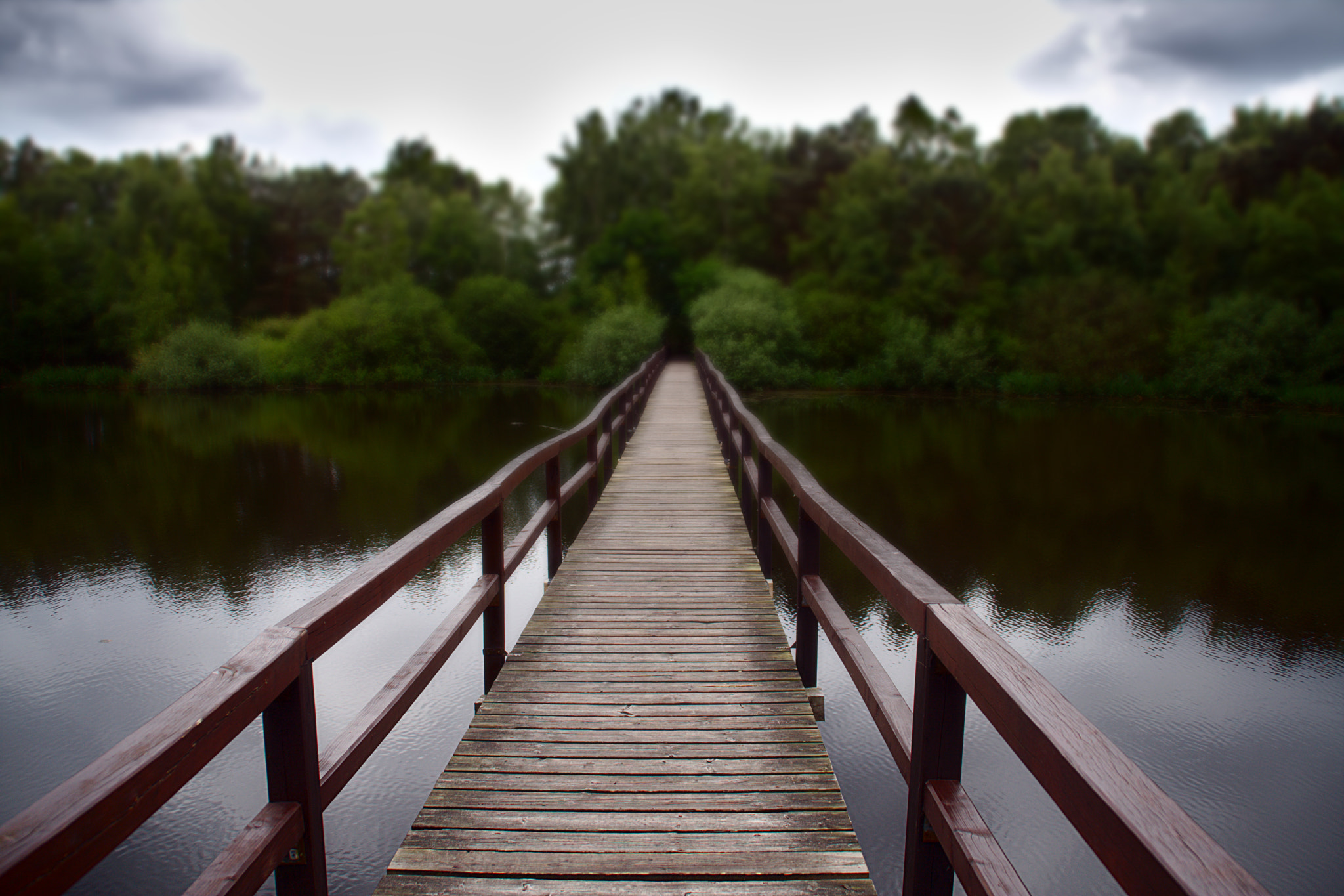Canon EOS 40D sample photo. Brücke in den wald photography