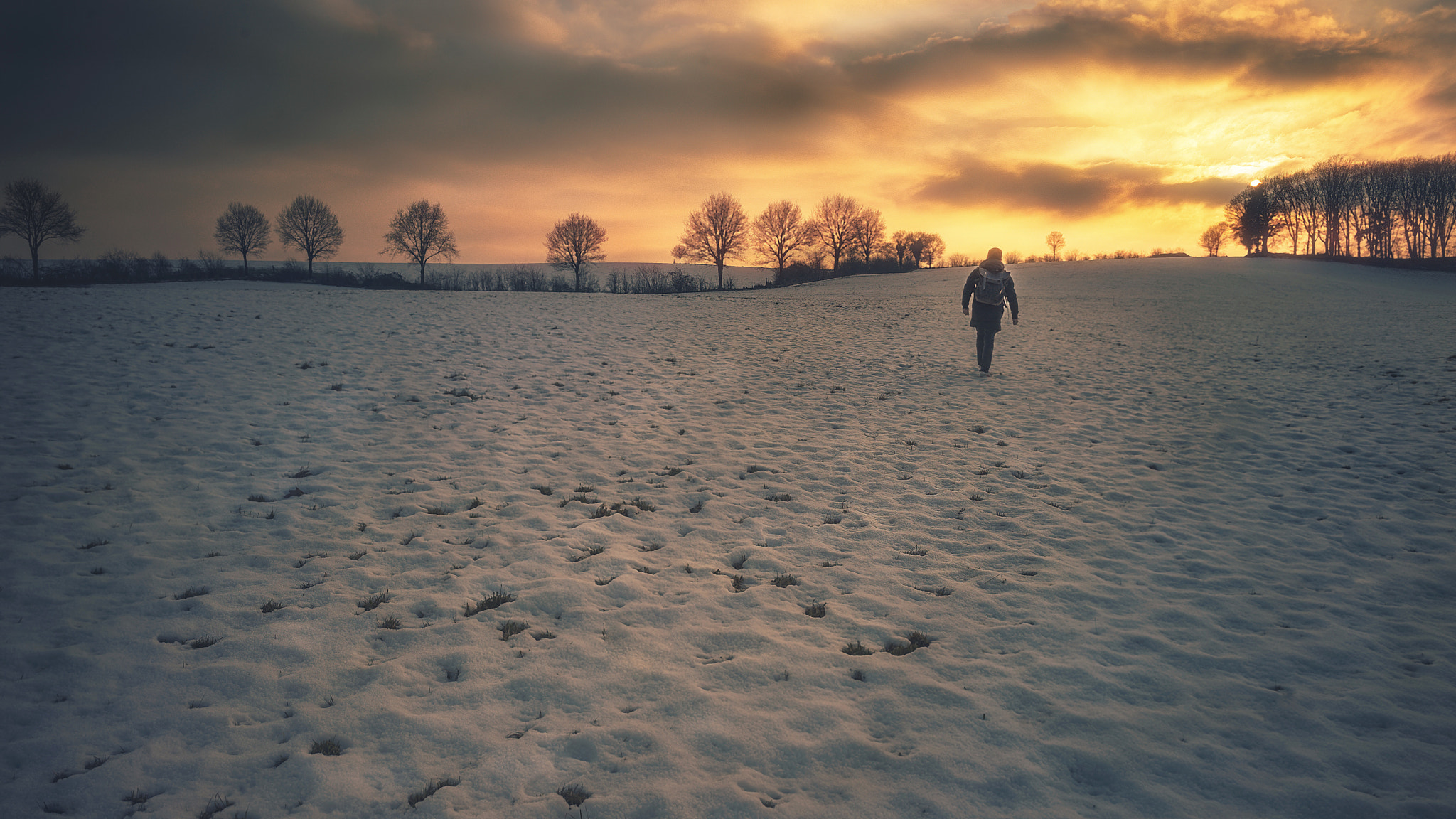 Sony a7 II + ZEISS Batis 25mm F2 sample photo. Like snow photography