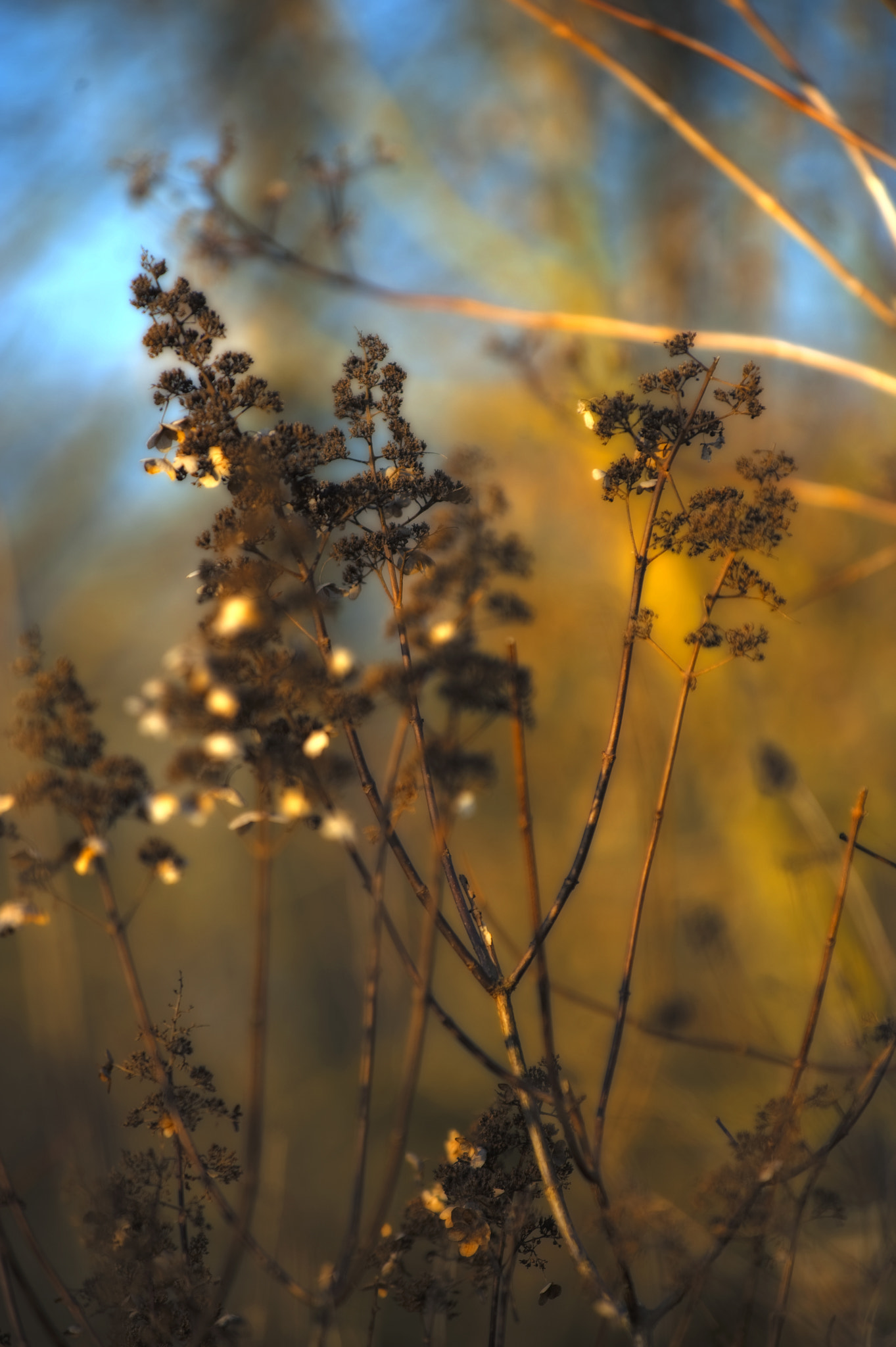Nikon D3 sample photo. Wintercolors photography