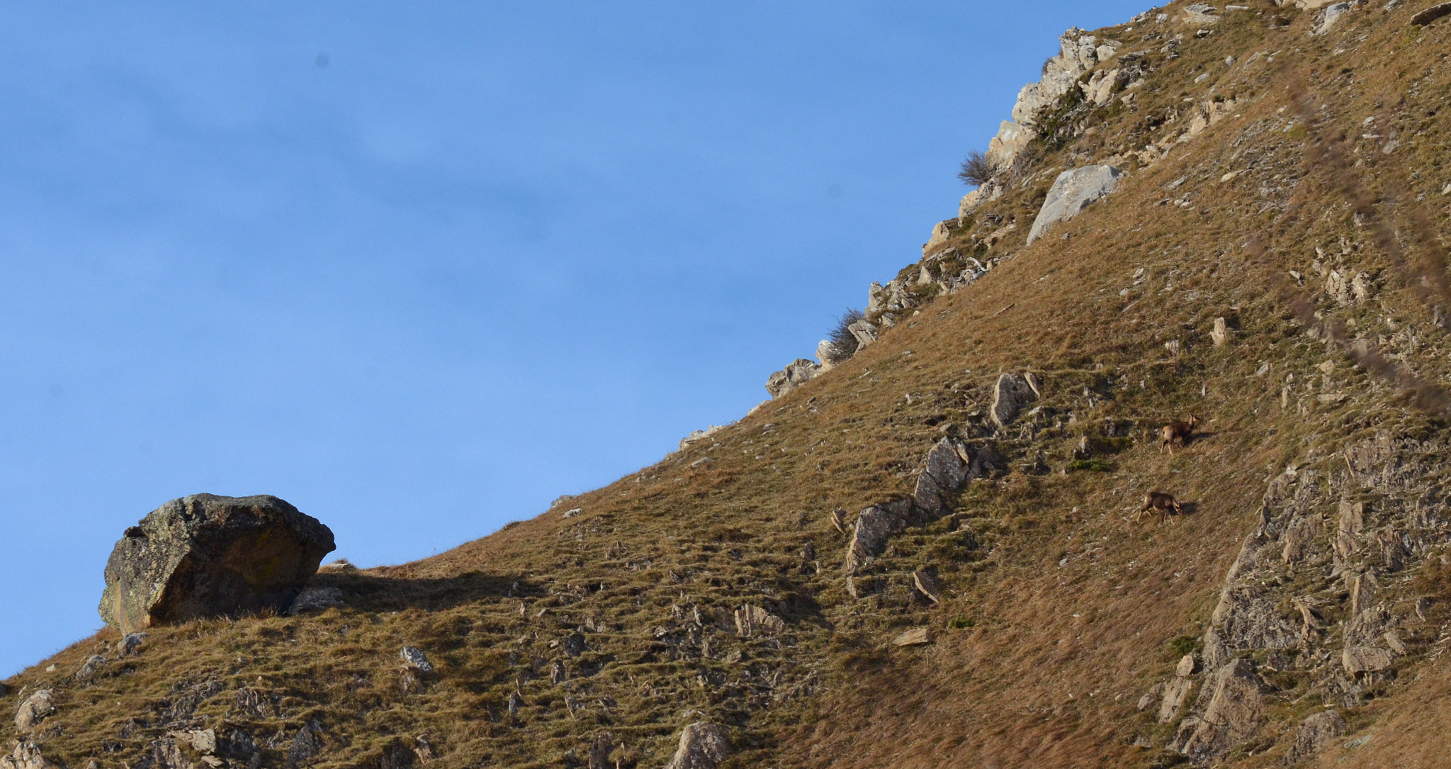 Nikon Nikkor AF-S 300mm F4E PF ED VR sample photo. Dsc photography