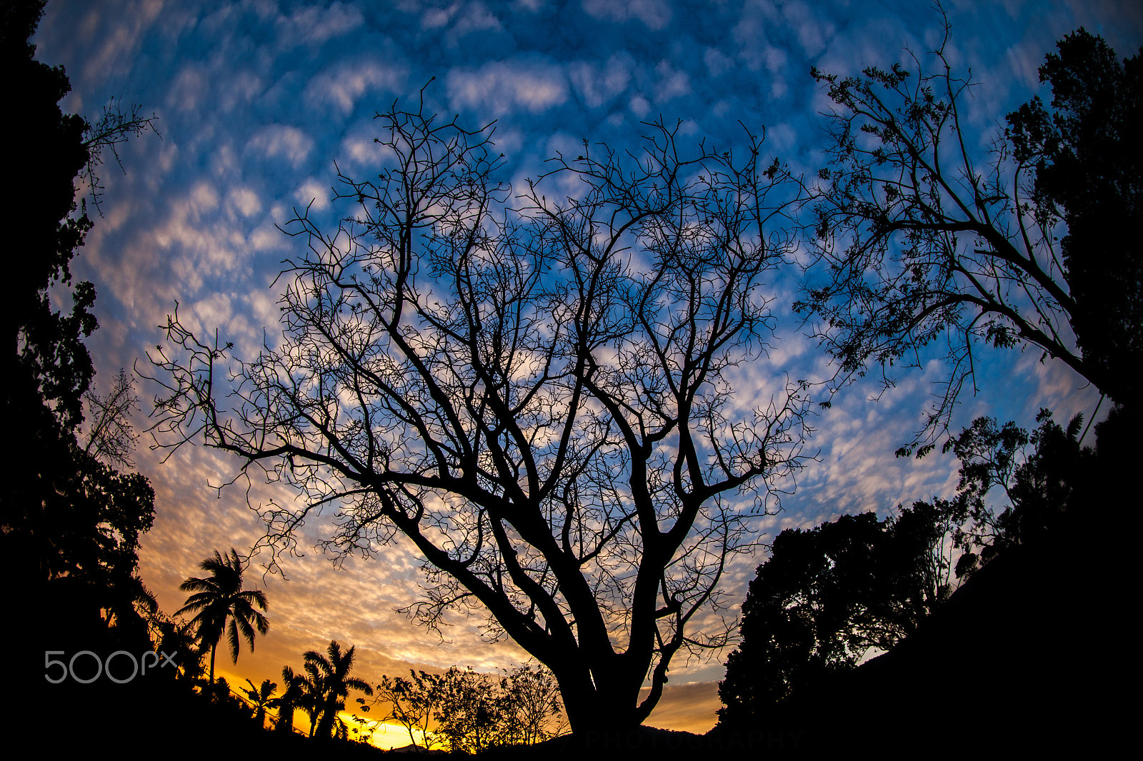 Canon EOS 5D Mark II + Canon EF 8-15mm F4L Fisheye USM sample photo. Sunset photography