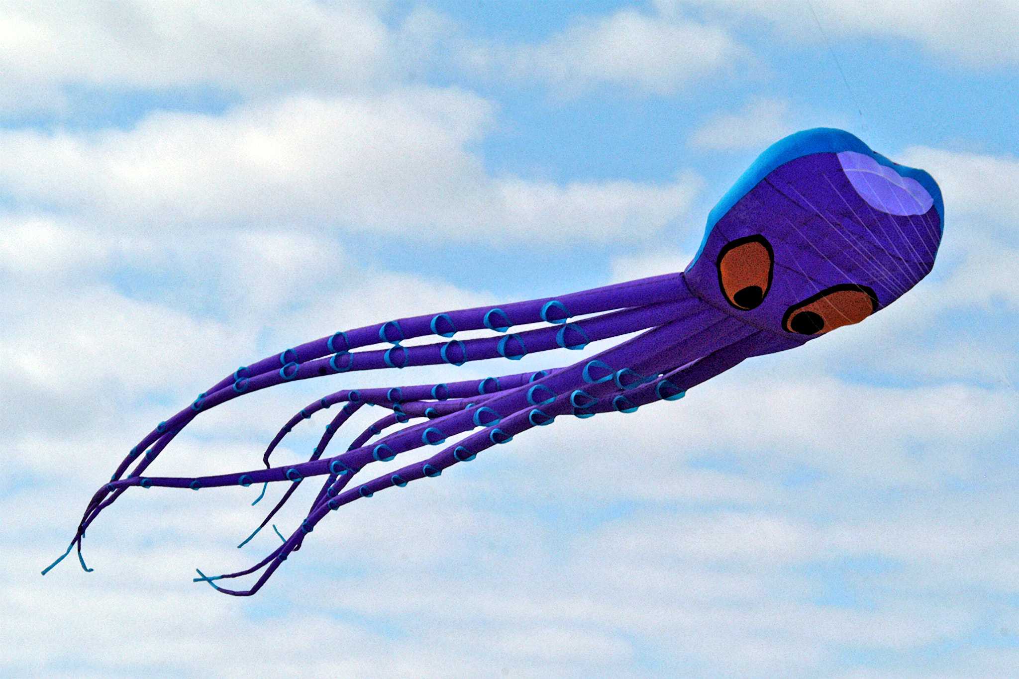 Flying Purple Squid by E.B. Evans - Photo 19514791 / 500px