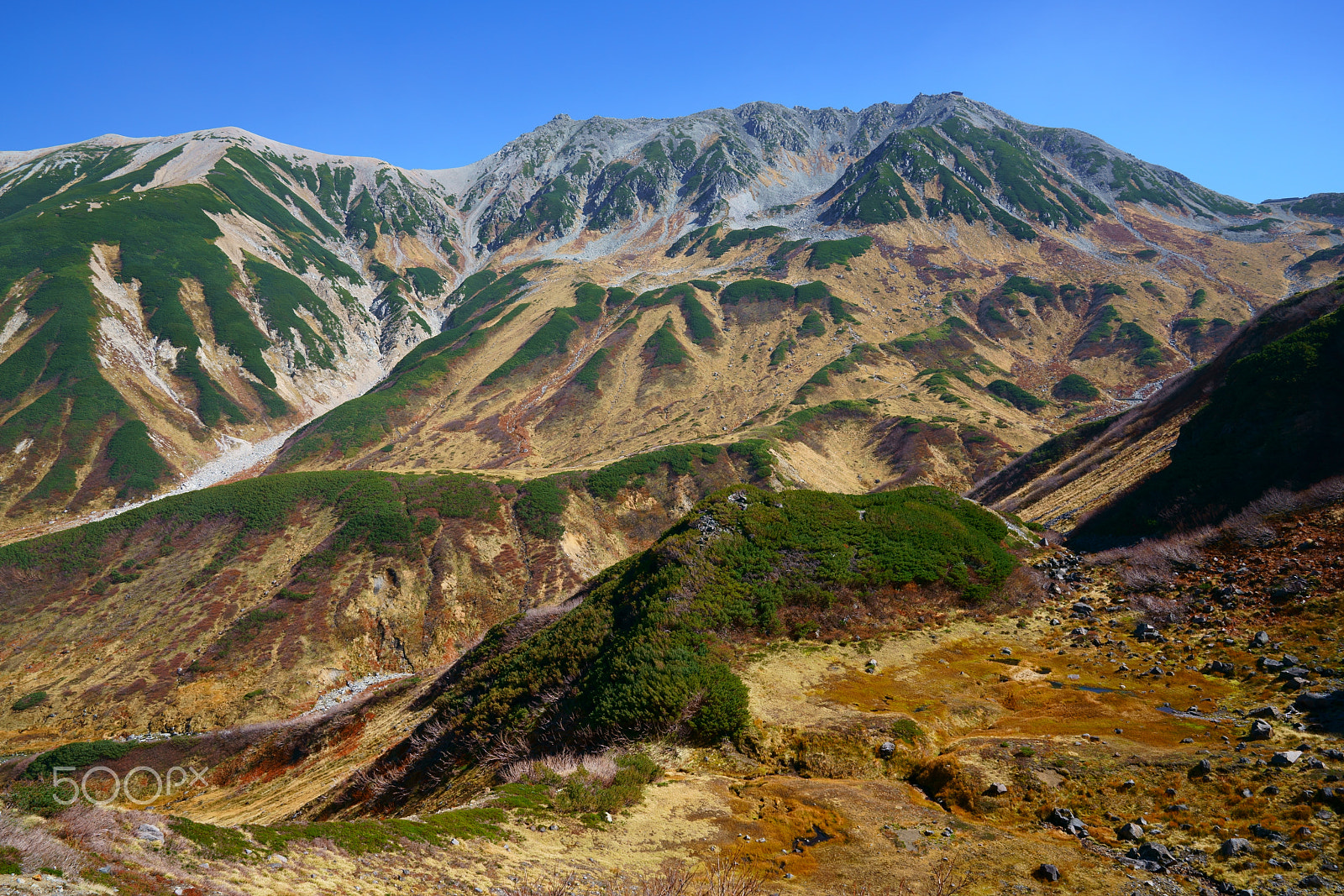 Sony FE 24-70mm F2.8 GM sample photo. Tateyama photography