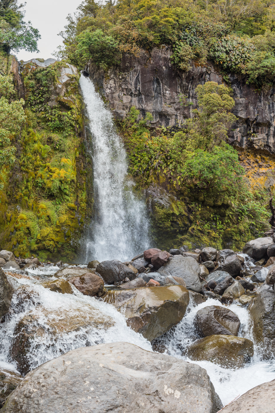 Sony a7S + Sony Sonnar T* FE 35mm F2.8 ZA sample photo. Dawson falls photography