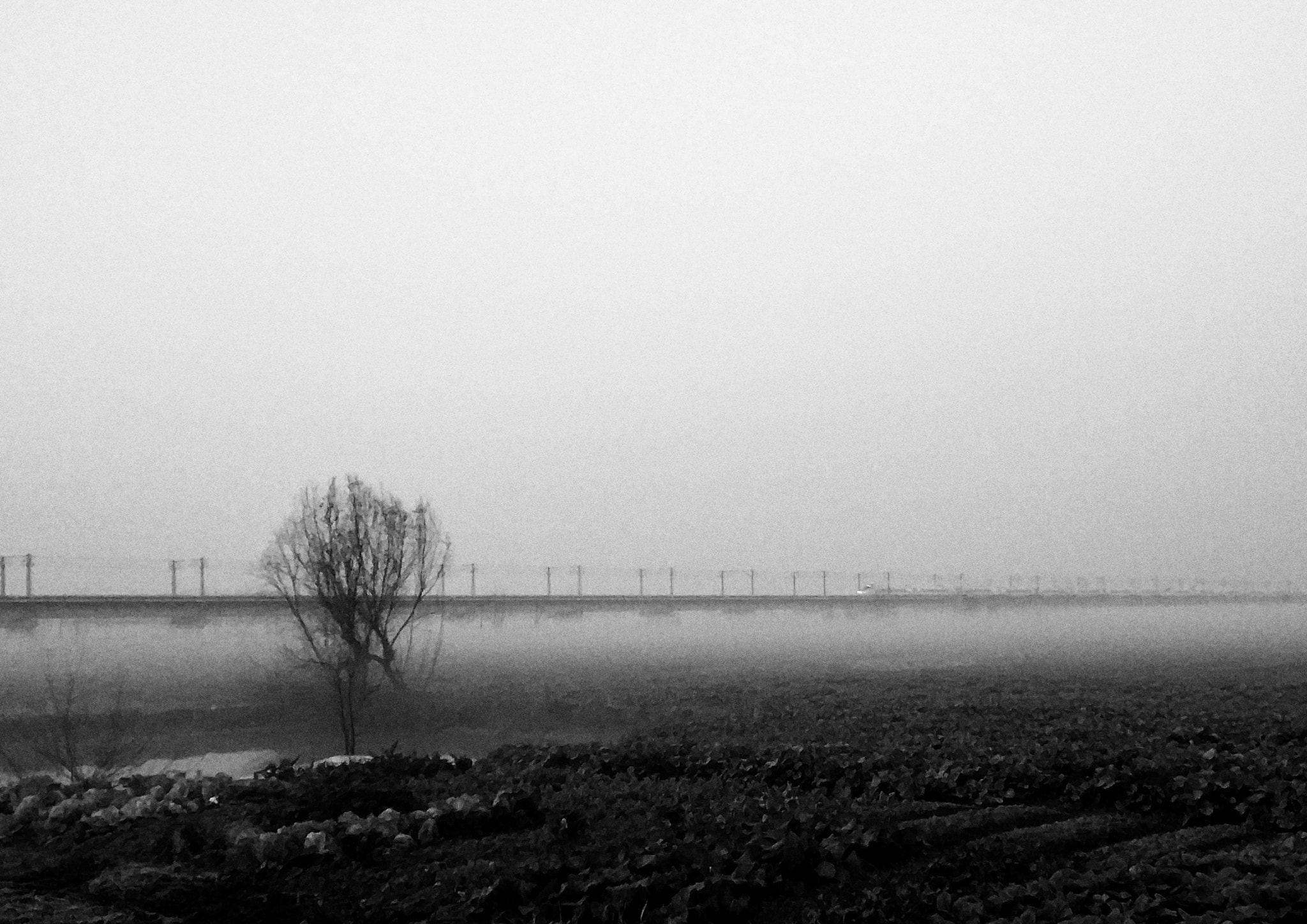 Xiaomi Mi Note2 sample photo. Black&white photography