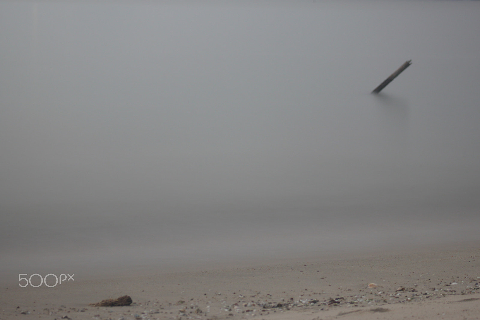 Canon EF 75-300mm f/4-5.6 USM sample photo. Wood on the sea photography