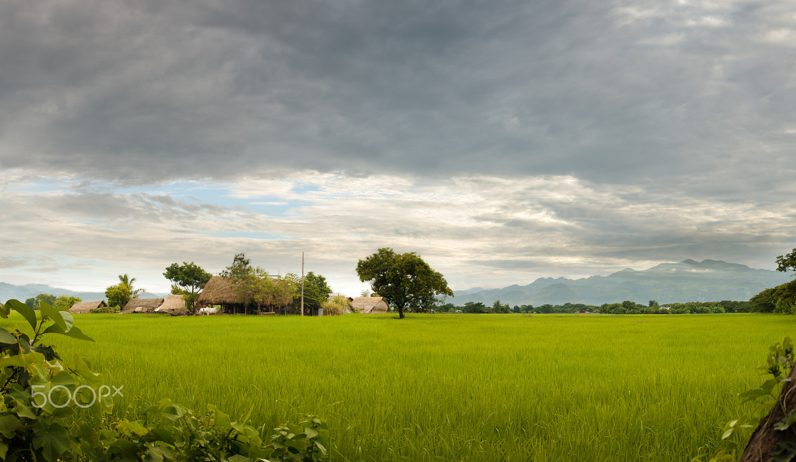 Olympus E-620 (EVOLT E-620) + OLYMPUS 14-42mm Lens sample photo. Rural countryside scene and farmhouse in cloudy da photography