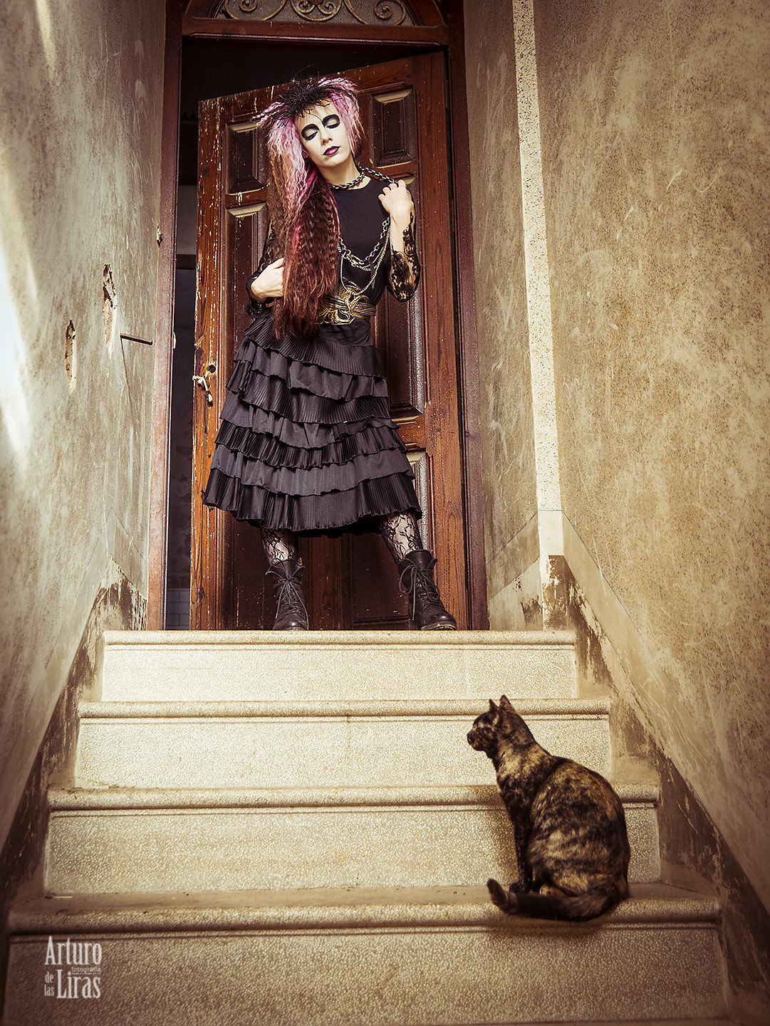 Olympus Zuiko Digital ED 12-60mm F2.8-4.0 SWD sample photo. The witch and her cat photography