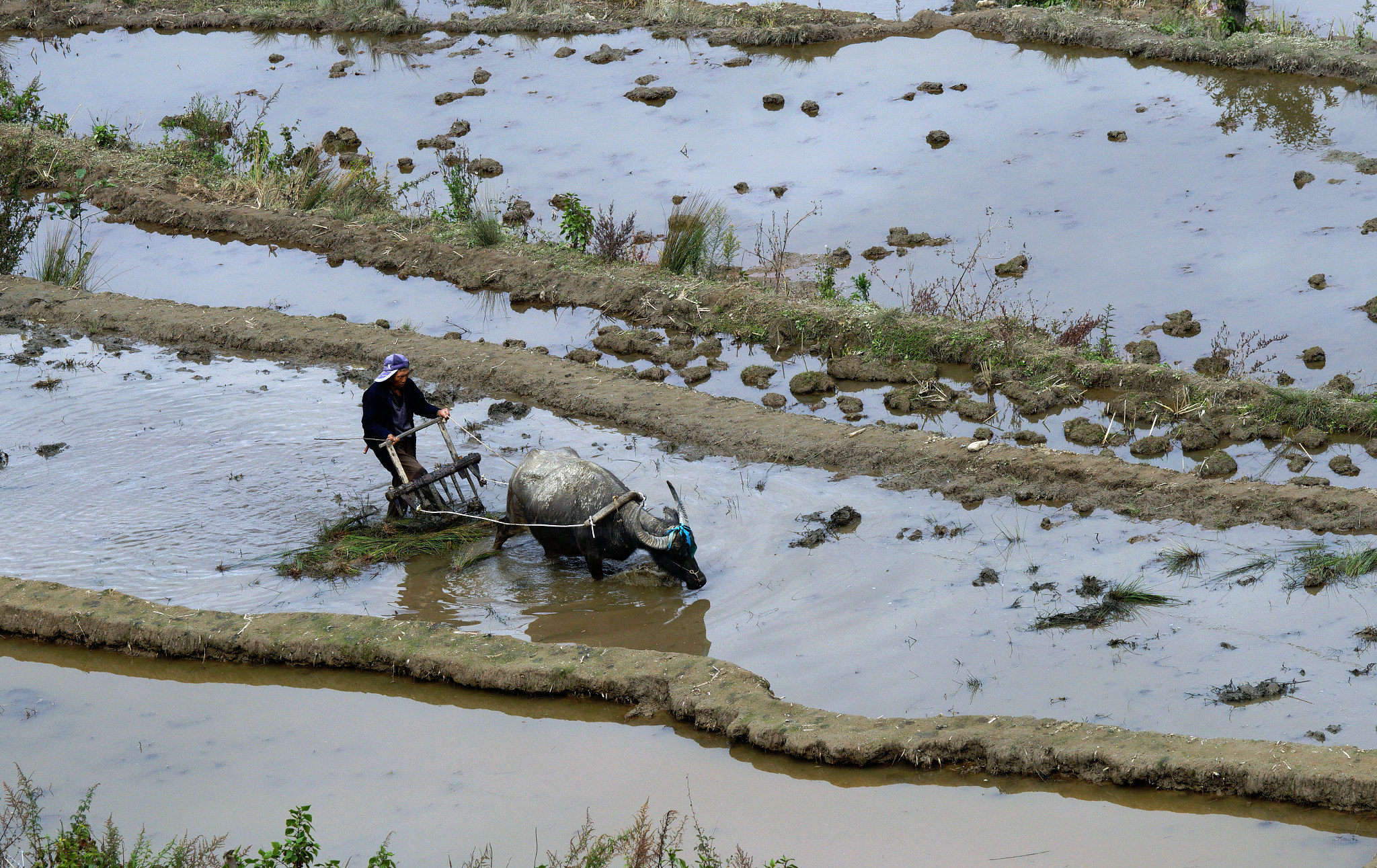 Sony a7 II + Sony 70-400mm F4-5.6 G SSM II sample photo. Spring ploughing photography