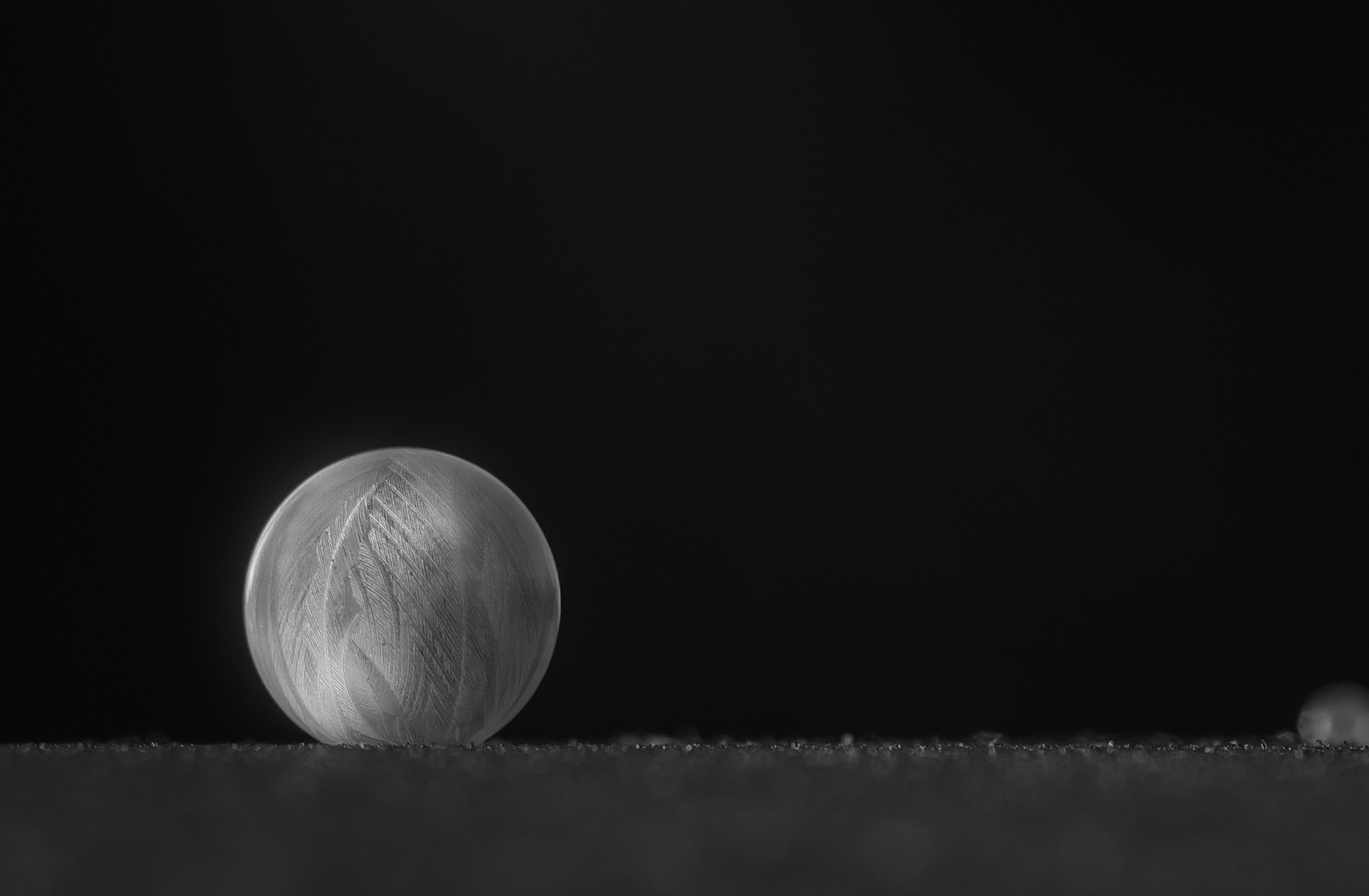 Sigma 105mm F2.8 EX DG Macro sample photo. Swseifen photography