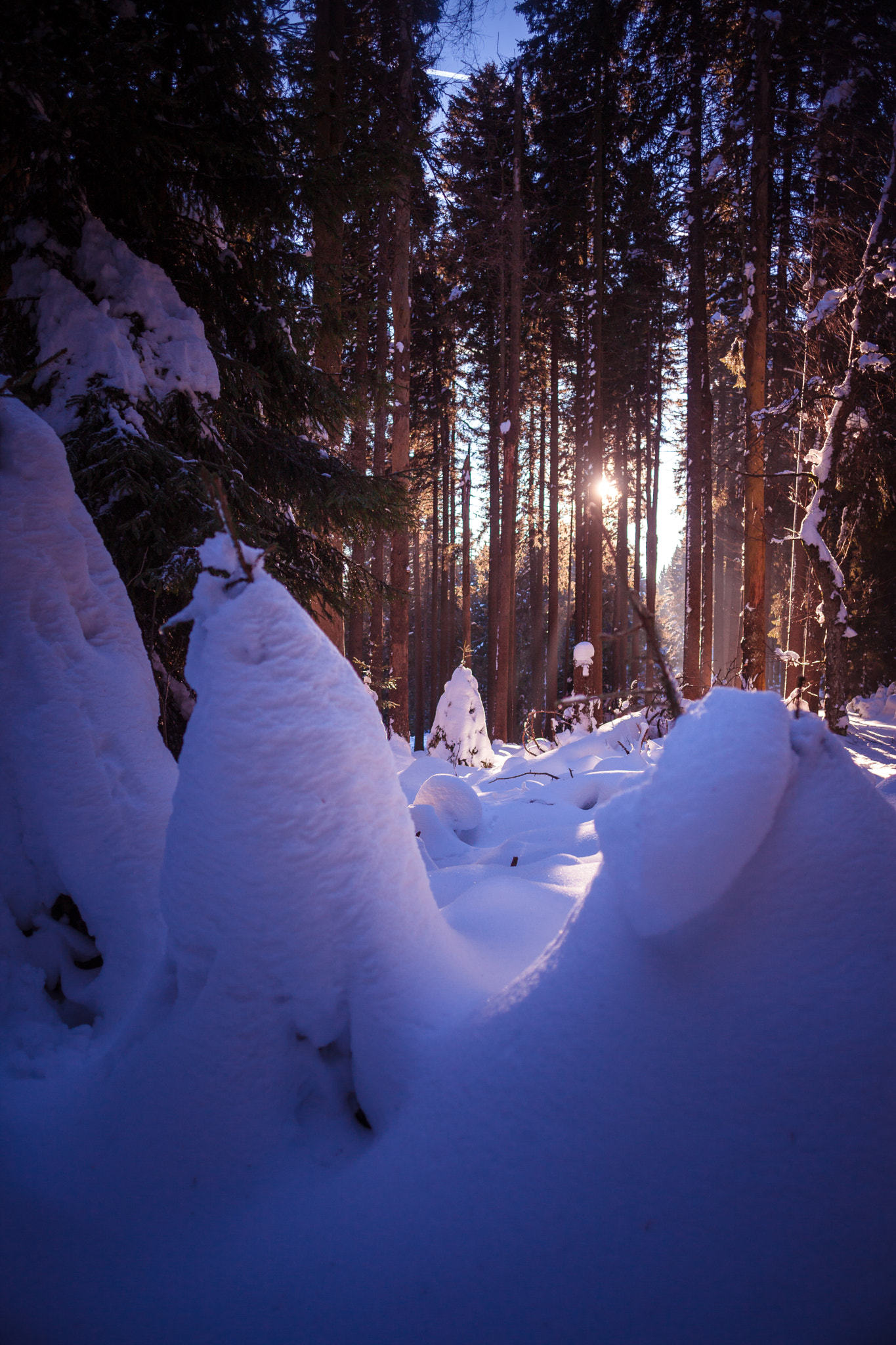 Canon EOS 5D Mark II + Canon EF 24mm F2.8 IS USM sample photo. Harz photography