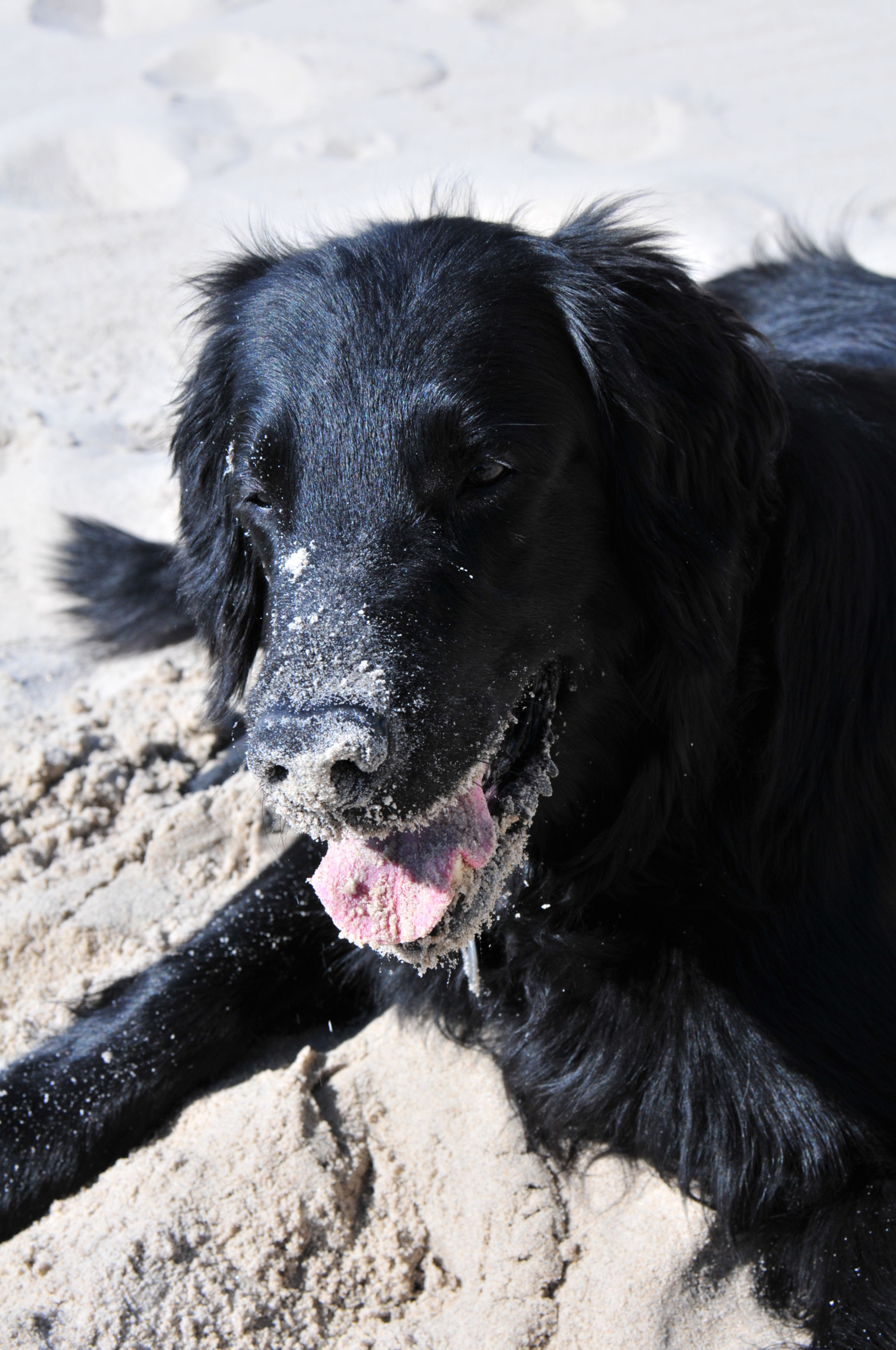 Nikon D300S sample photo. Buden macht spass photography
