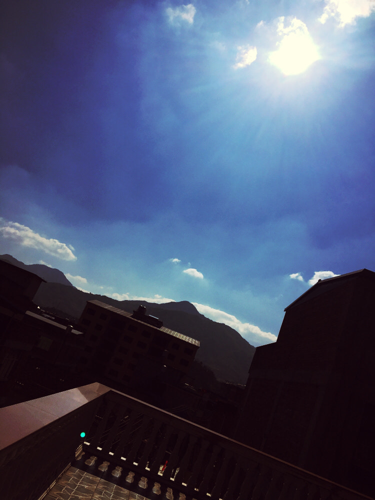 Apple iPhone8,1 sample photo. Home photography
