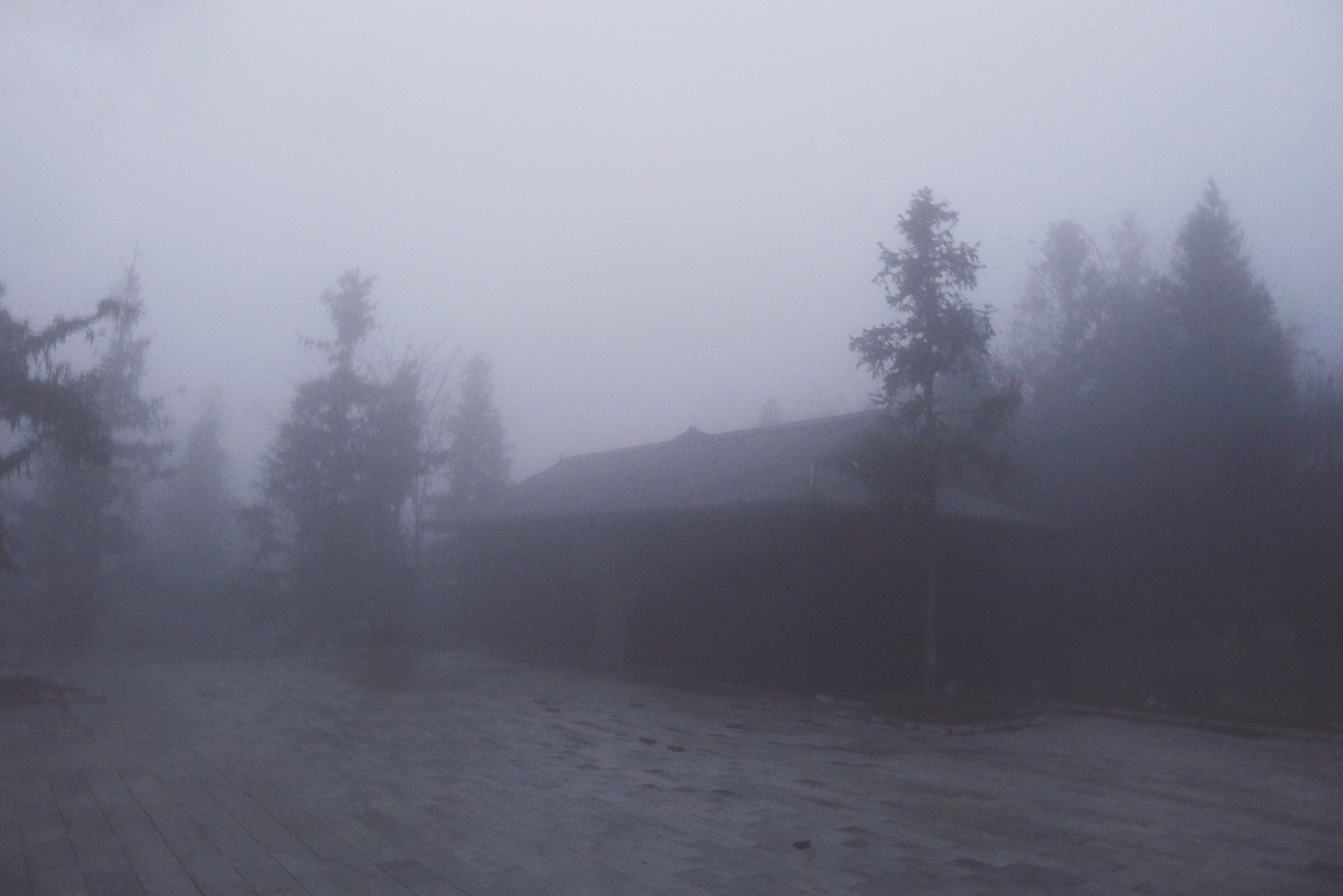 Leica D-LUX 5 sample photo. 迷雾 photography