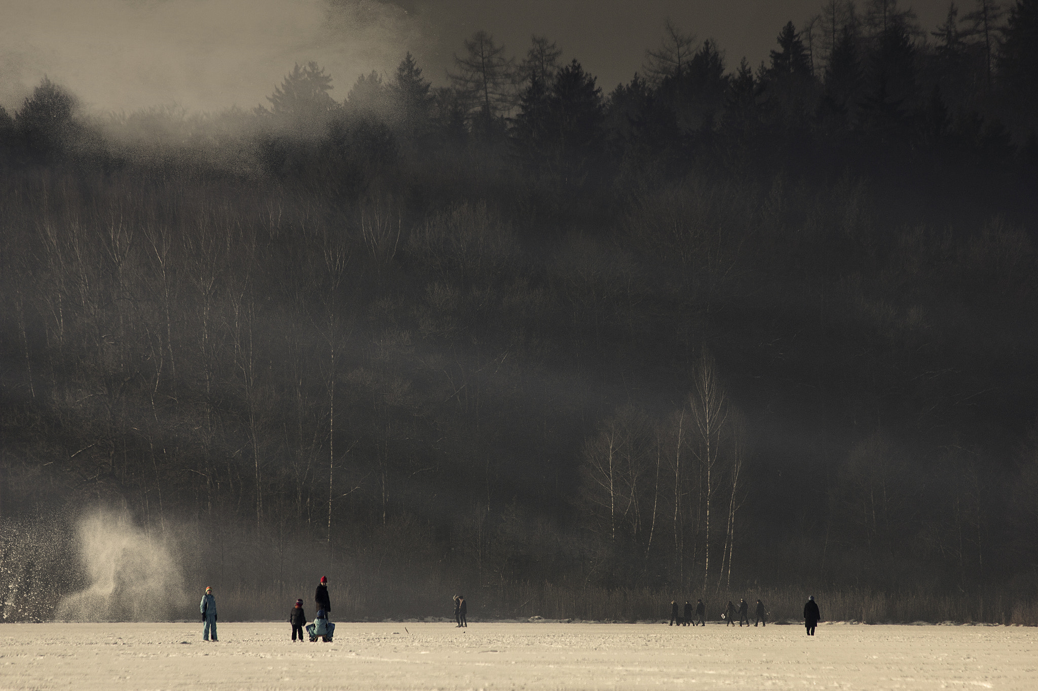 Canon EF 70-300mm F4-5.6 IS USM sample photo. Ice day photography