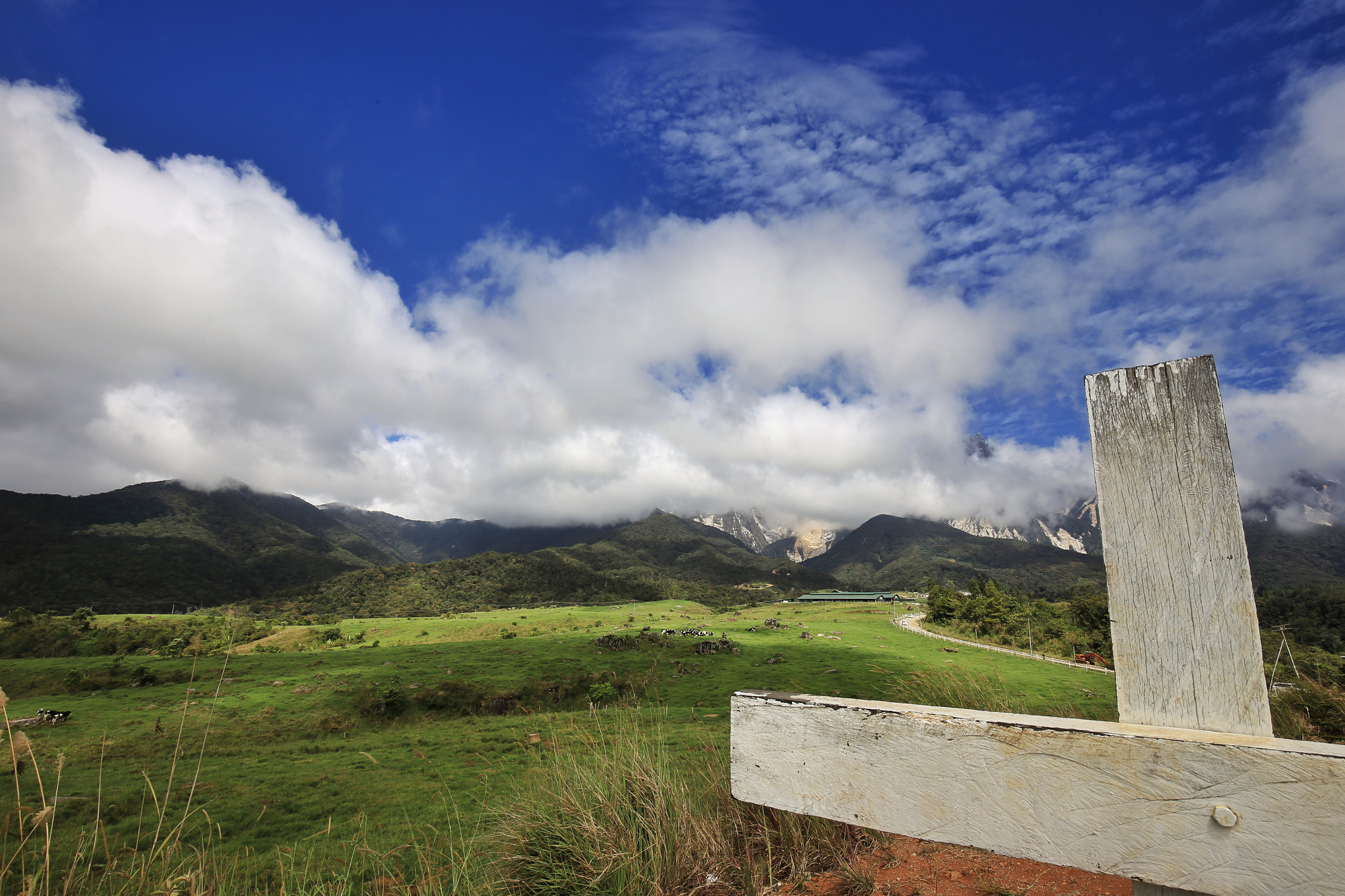 Canon EF 16-35mm F4L IS USM sample photo. The haert and the sky photography