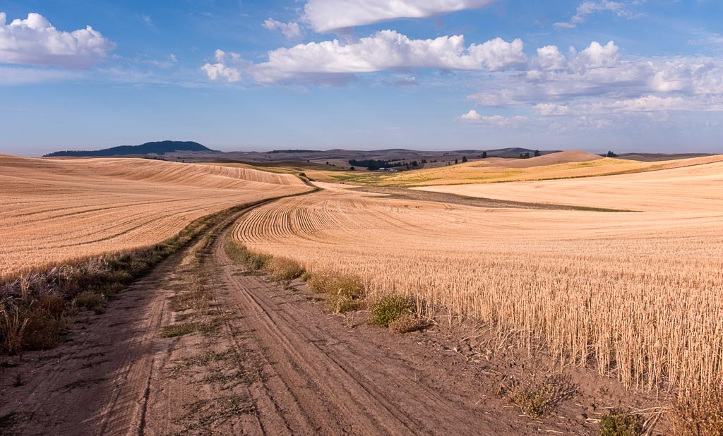 Fujifilm X-Pro2 + Fujifilm XF 18-135mm F3.5-5.6 R LM OIS WR sample photo. Palouse, washington photography