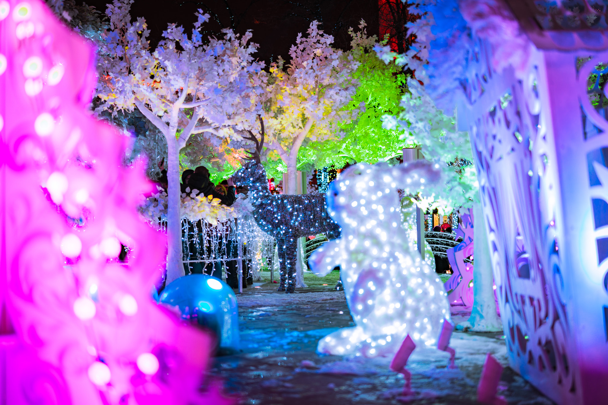 Sony Planar T* FE 50mm F1.4 ZA sample photo. New year lights photography