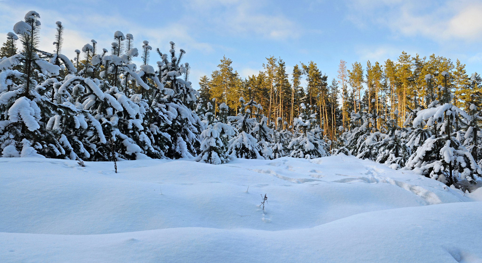 Nikon D300S + Nikon AF Nikkor 24mm F2.8D sample photo. Winter shadows photography