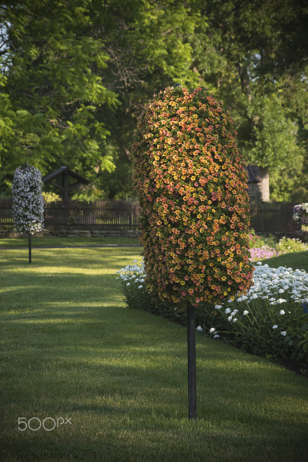 Nikon D810 sample photo. Beatiful garden photography