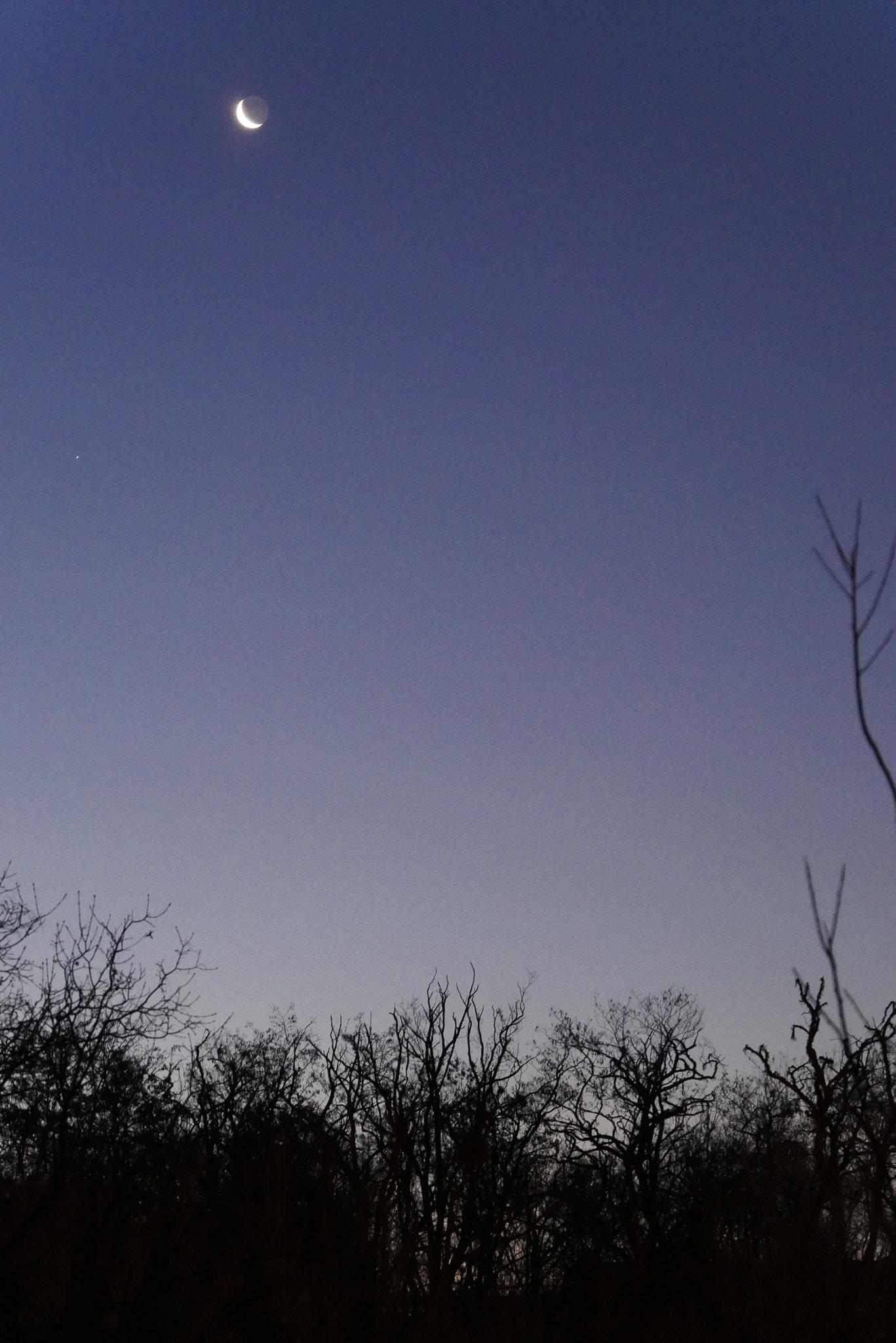 Panasonic Lumix DMC-G7 sample photo. Moonlight shadow photography
