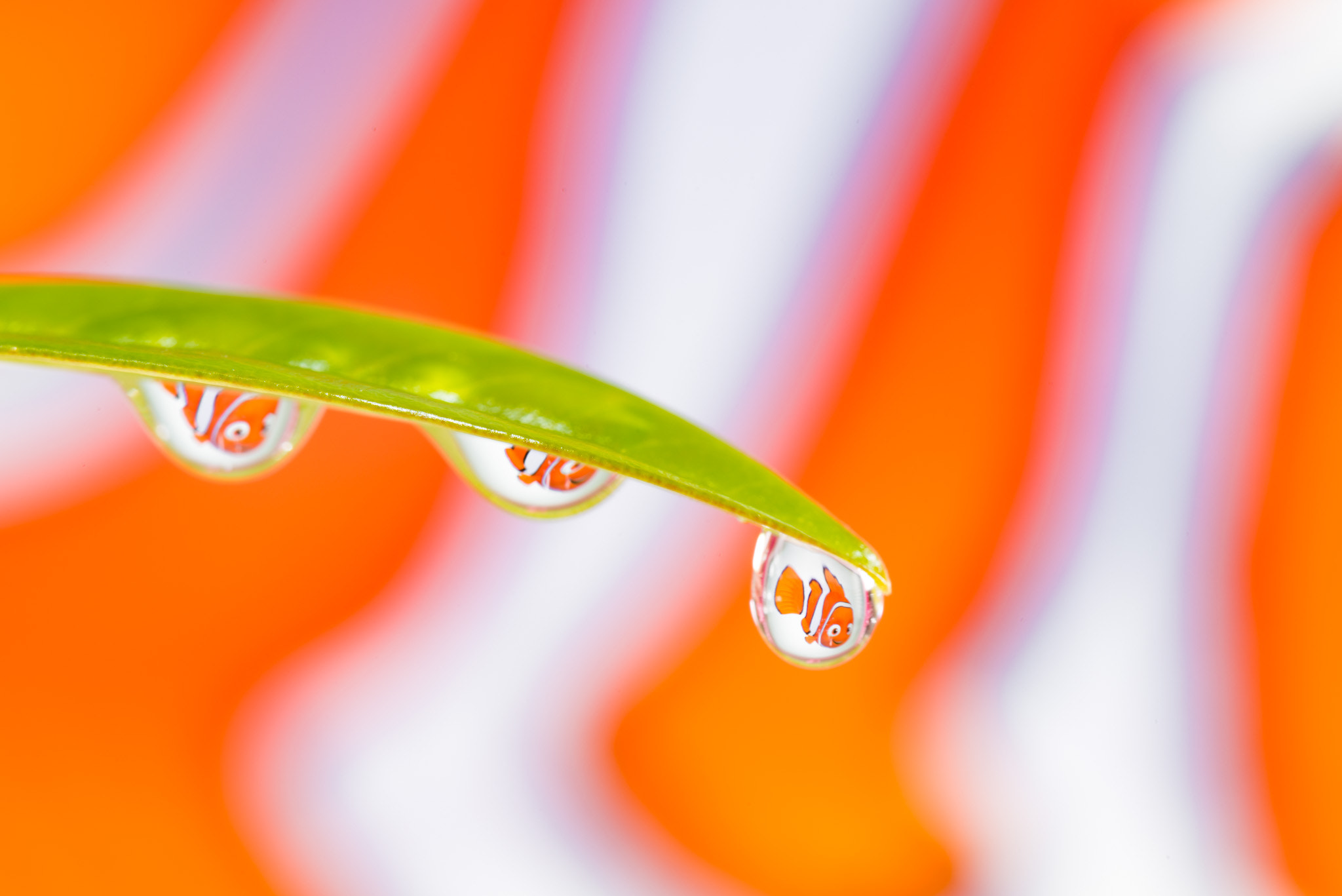 Nikon D800 sample photo