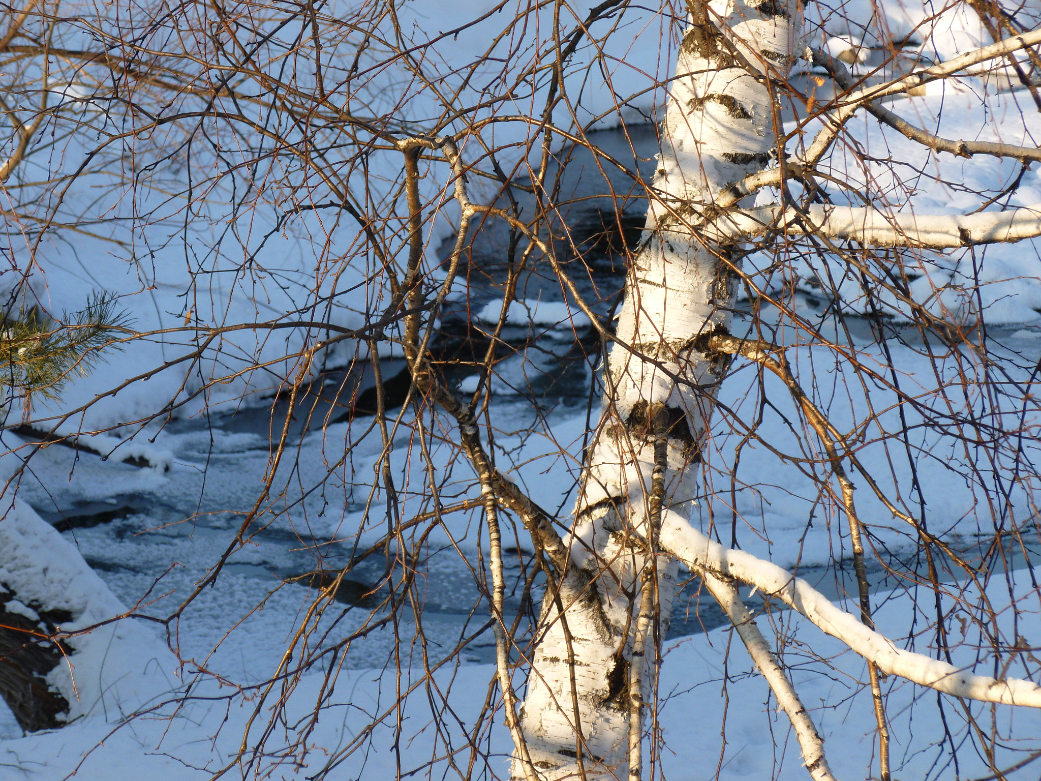 Panasonic Lumix DMC-FH25 (Lumix DMC-FS35) sample photo. Серия:ЗИМА... photography
