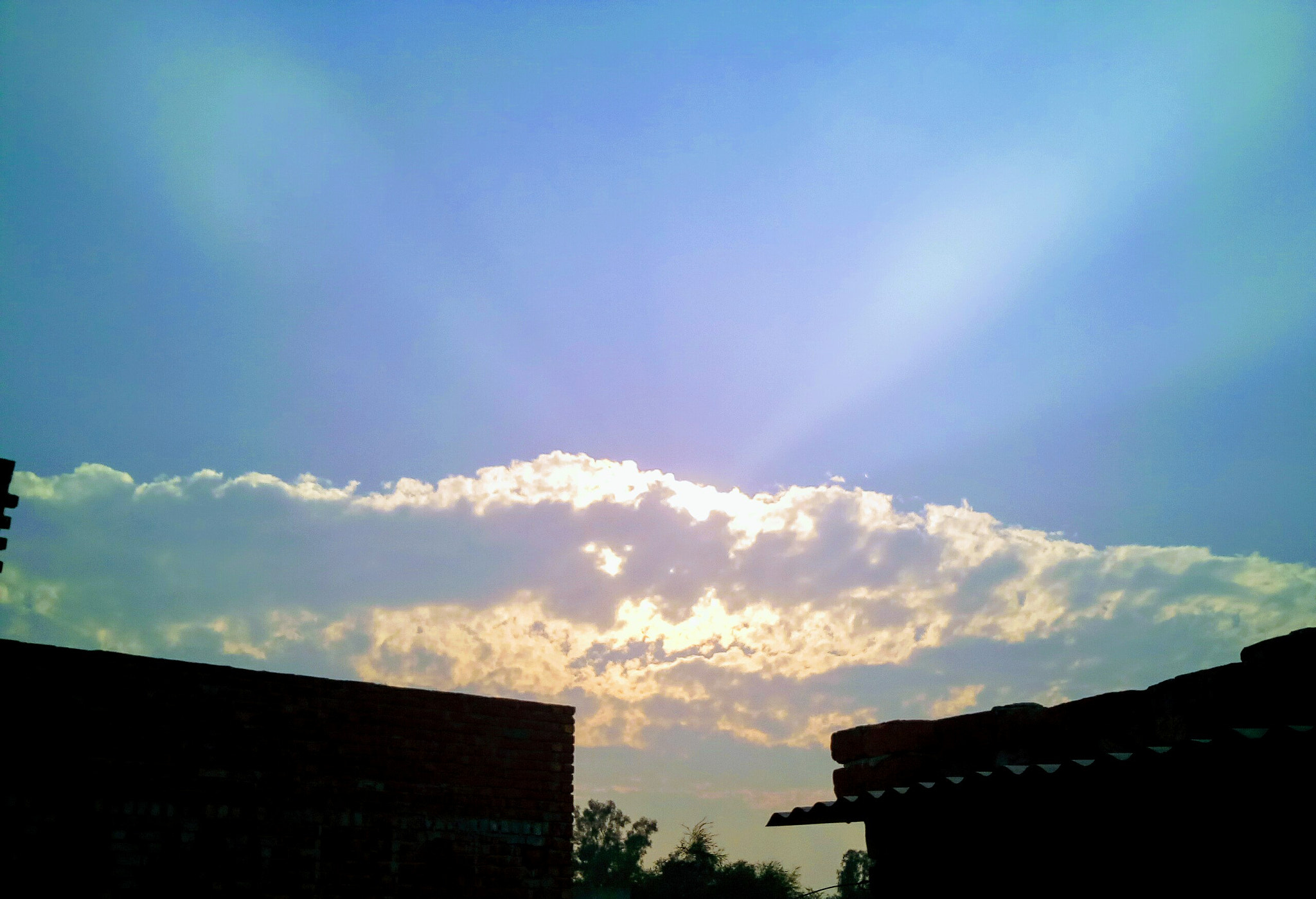 Micromax Canvas A1 sample photo. Say hi to morning photography
