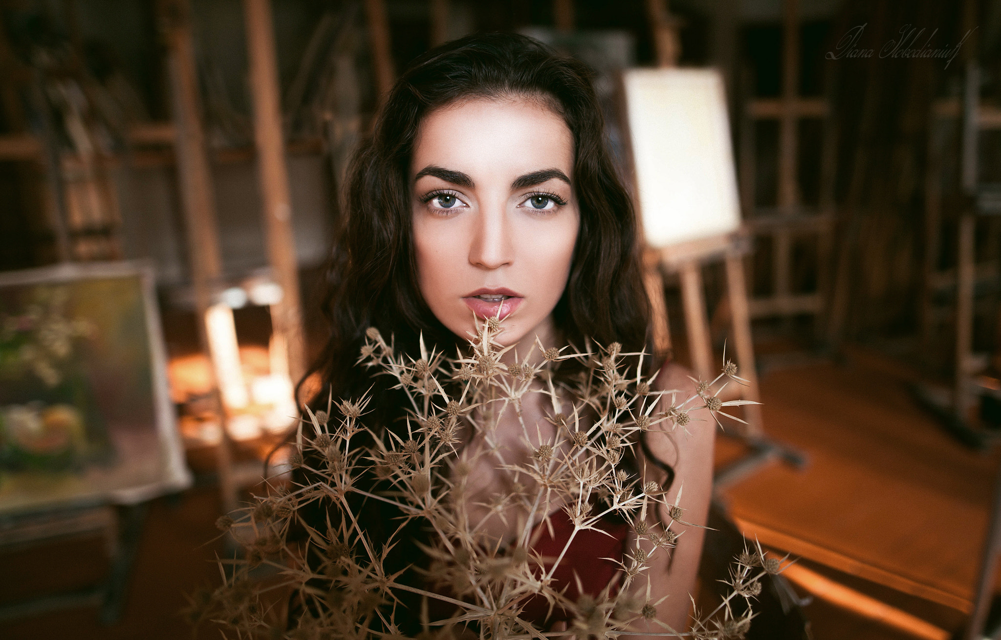 Sigma 24mm F1.4 DG HSM Art sample photo. Колючка photography