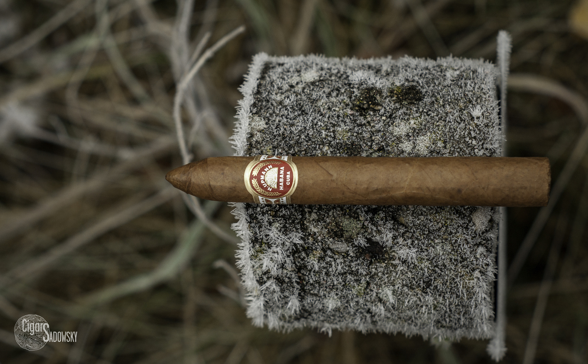 A Series Lens sample photo. H. upmann no. 2 photography
