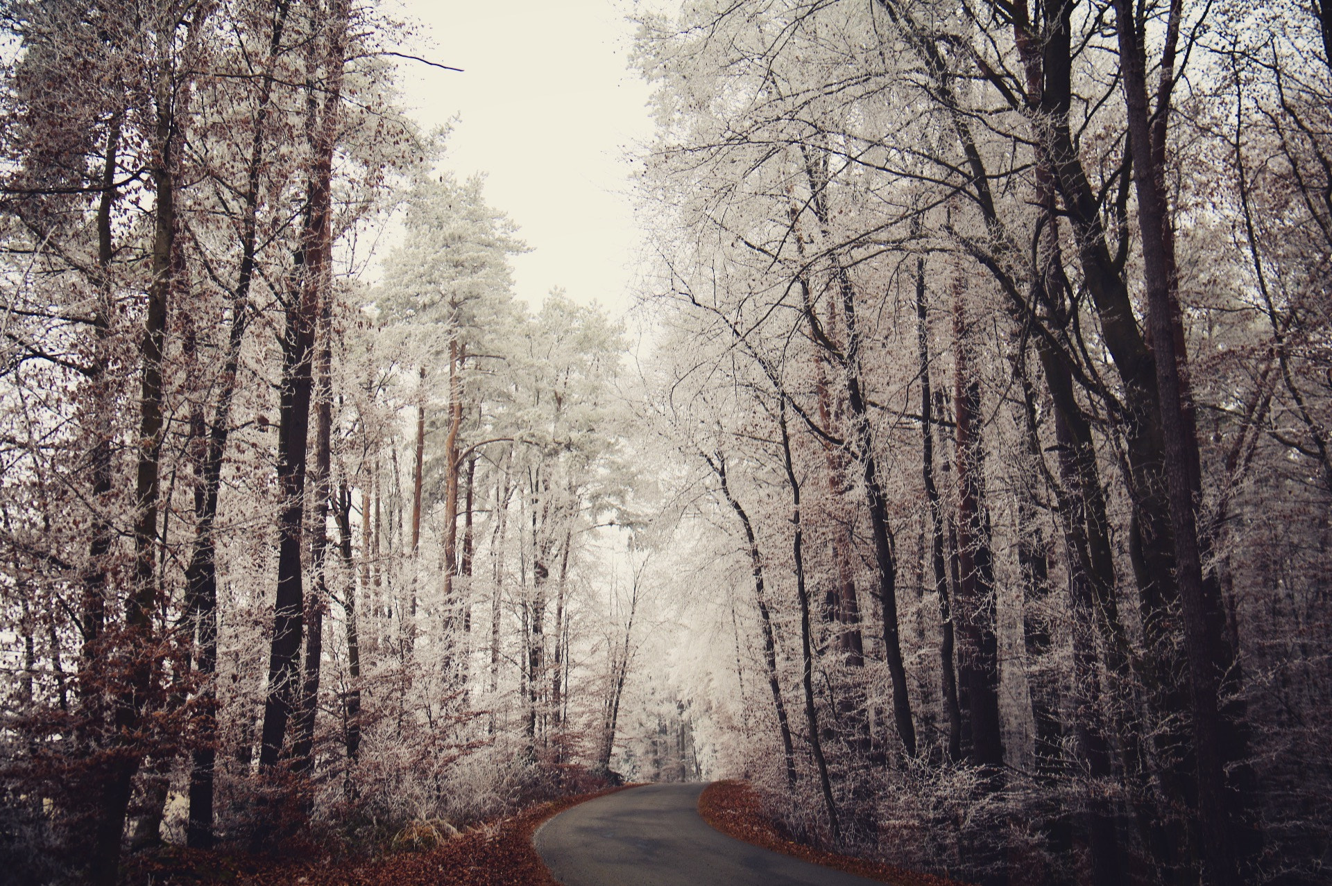 Canon EOS 750D (EOS Rebel T6i / EOS Kiss X8i) sample photo. Landscape photography