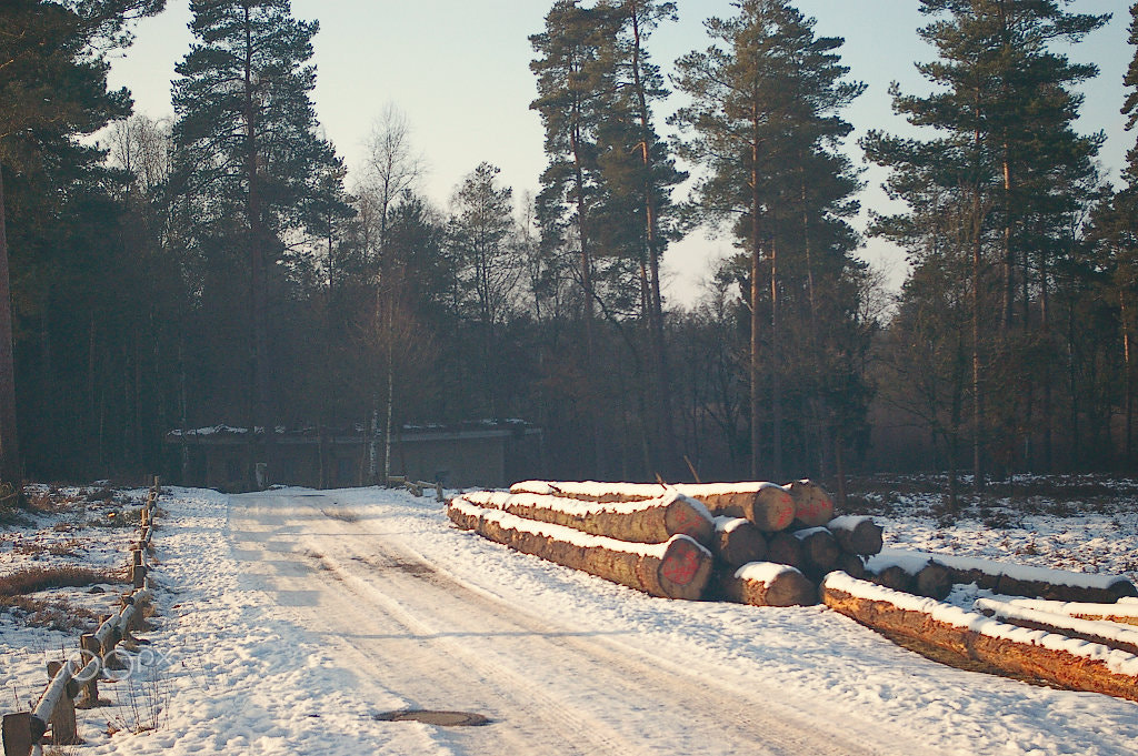 Pentax K100D Super sample photo. Road to the bunker photography