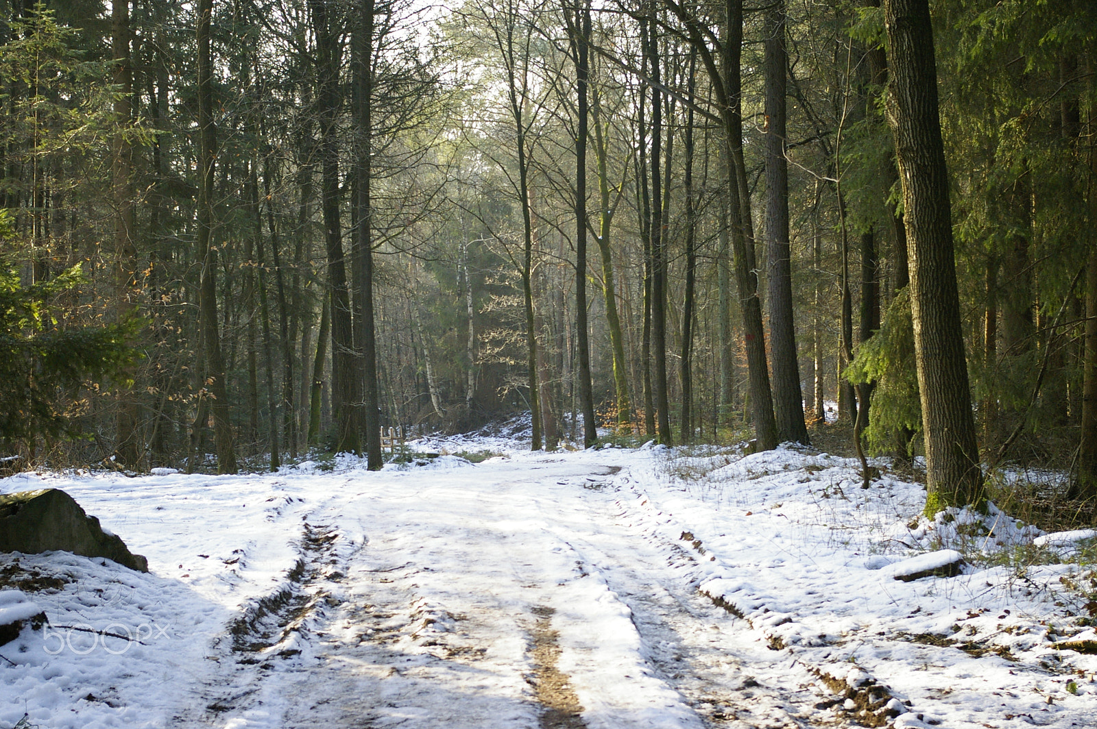Pentax K100D Super sample photo. Path in winter forest photography