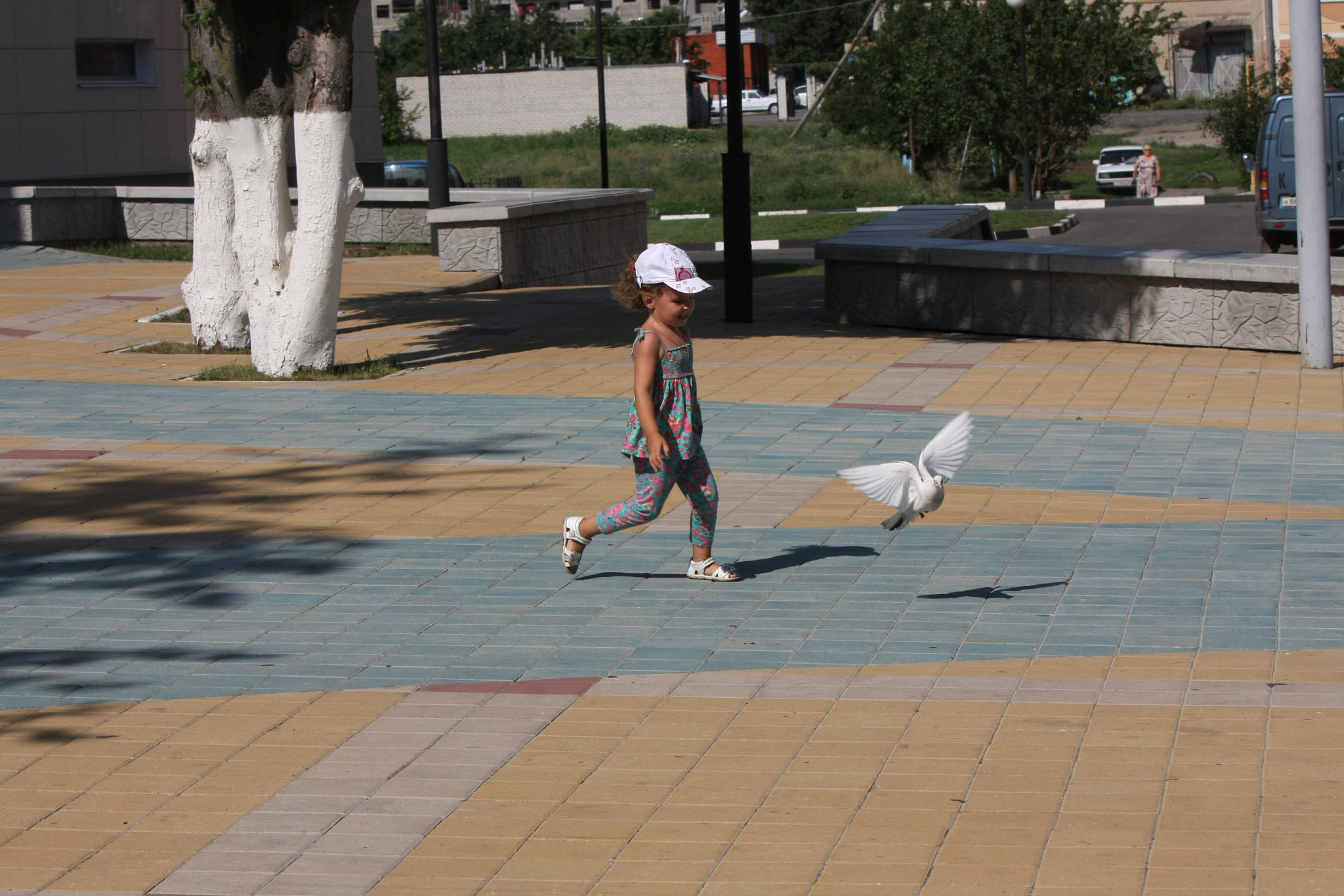 Canon EF 70-200mm F2.8L IS USM sample photo. Img photography