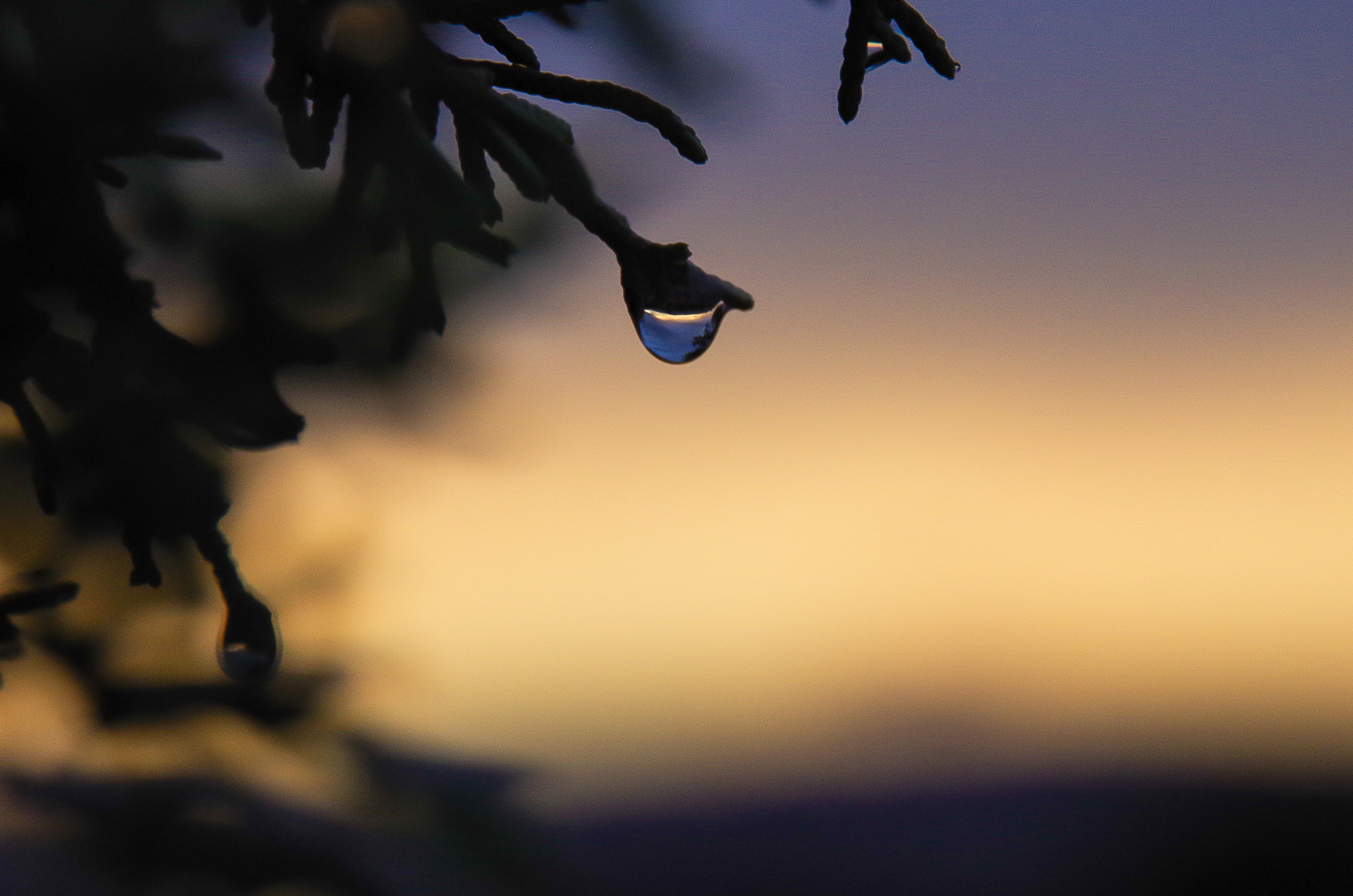 Pentax K-30 sample photo. A lonely drop photography