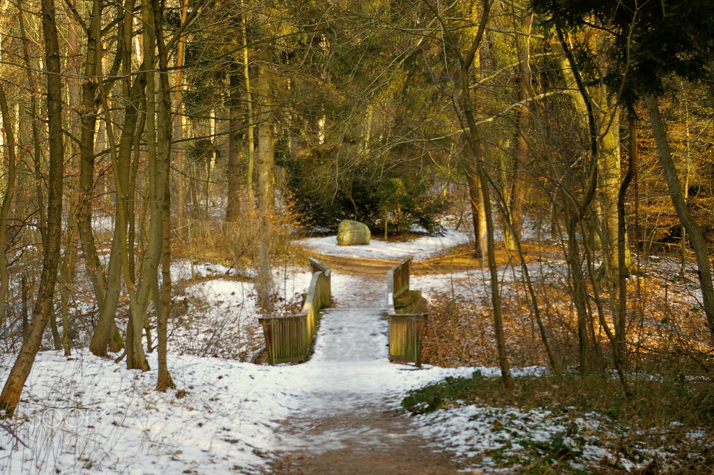 Pentax K100D Super sample photo. Bridge in wintertime photography