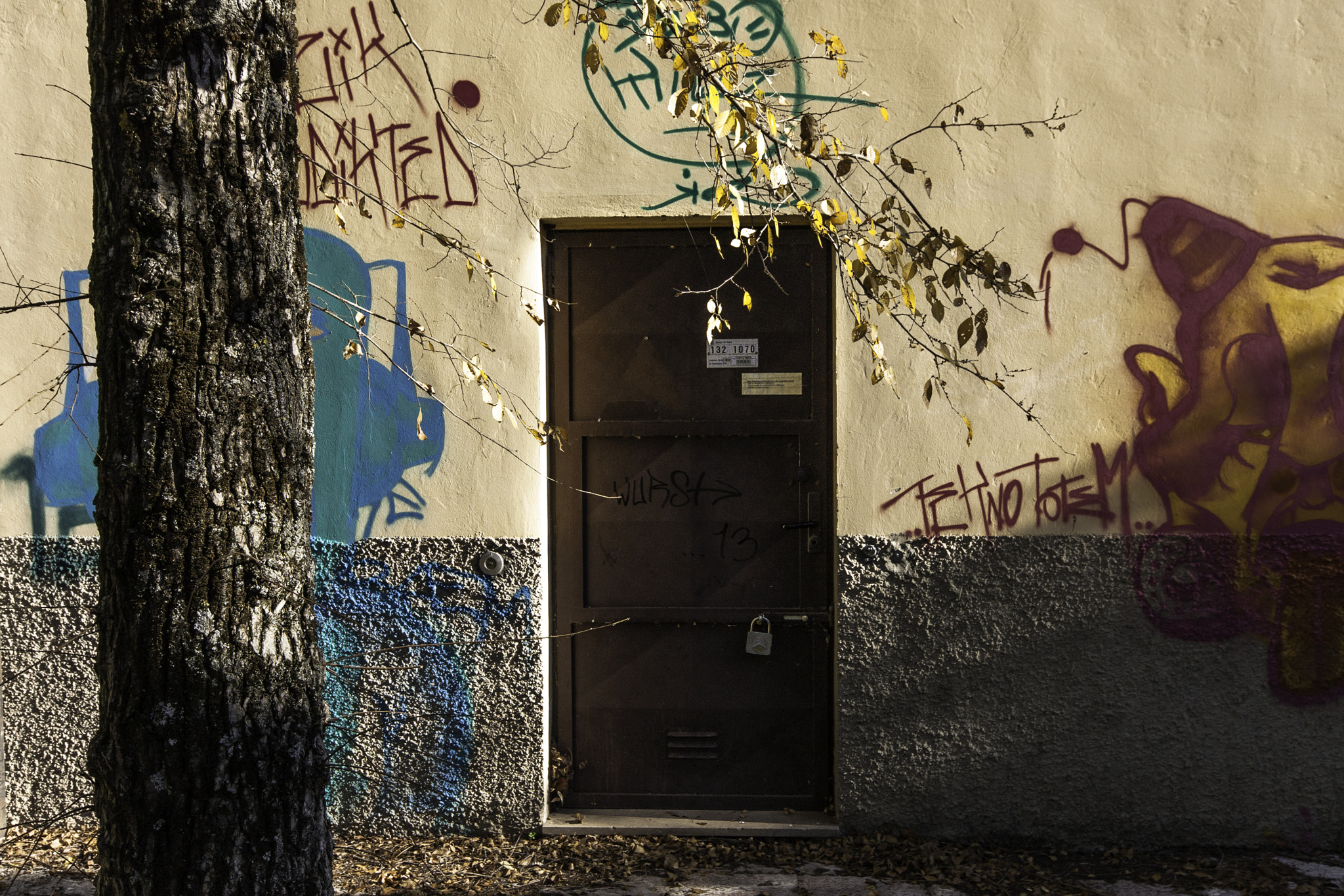 Canon EOS 450D (EOS Rebel XSi / EOS Kiss X2) + Sigma 10-20mm F4-5.6 EX DC HSM sample photo. Volterra graffiti photography