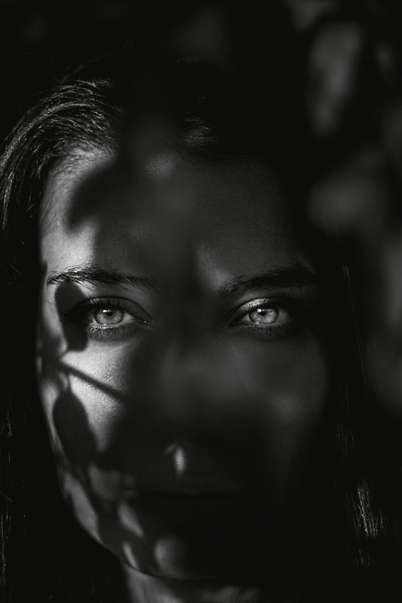 Sony a99 II + Sony 50mm F1.4 sample photo. Gia photography