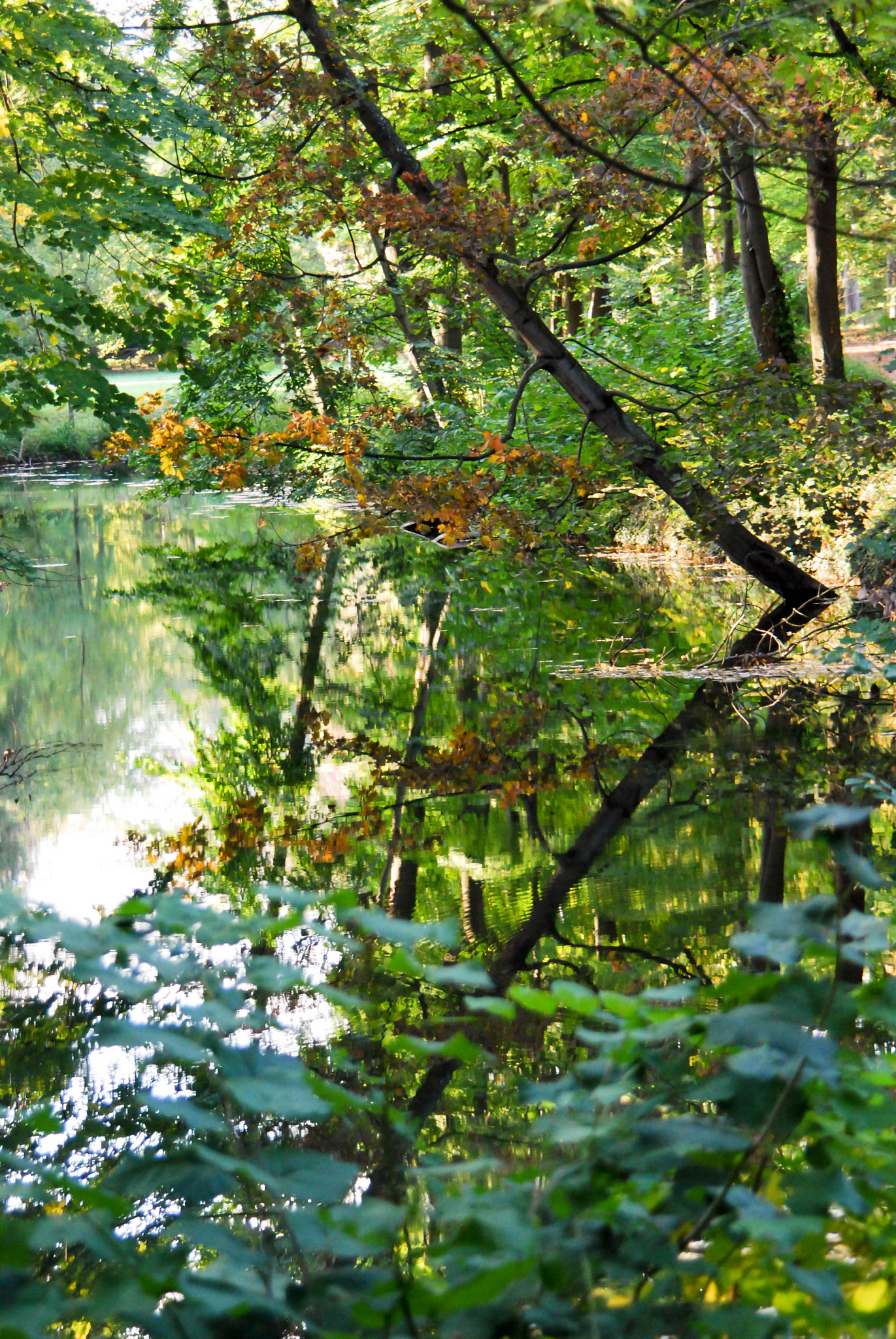 Nikon D40X sample photo. Reflejo en lyon photography