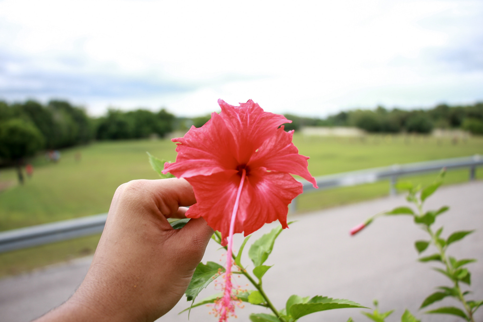 Canon EOS 40D sample photo