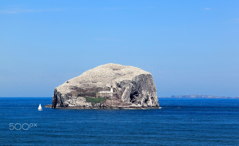 Canon EF-S 17-85mm F4-5.6 IS USM sample photo. Bass rock seabird colony scotland photography