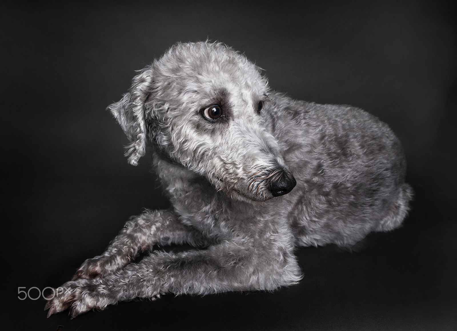 Canon EOS-1Ds Mark II sample photo. Patch photography